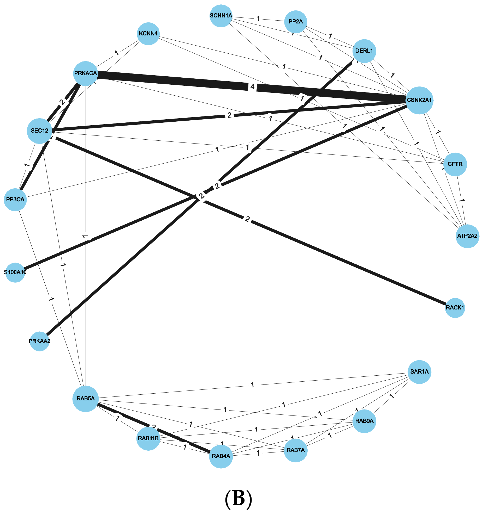 Ijms 23 12351 g004b Ijms 23 12351 g004b