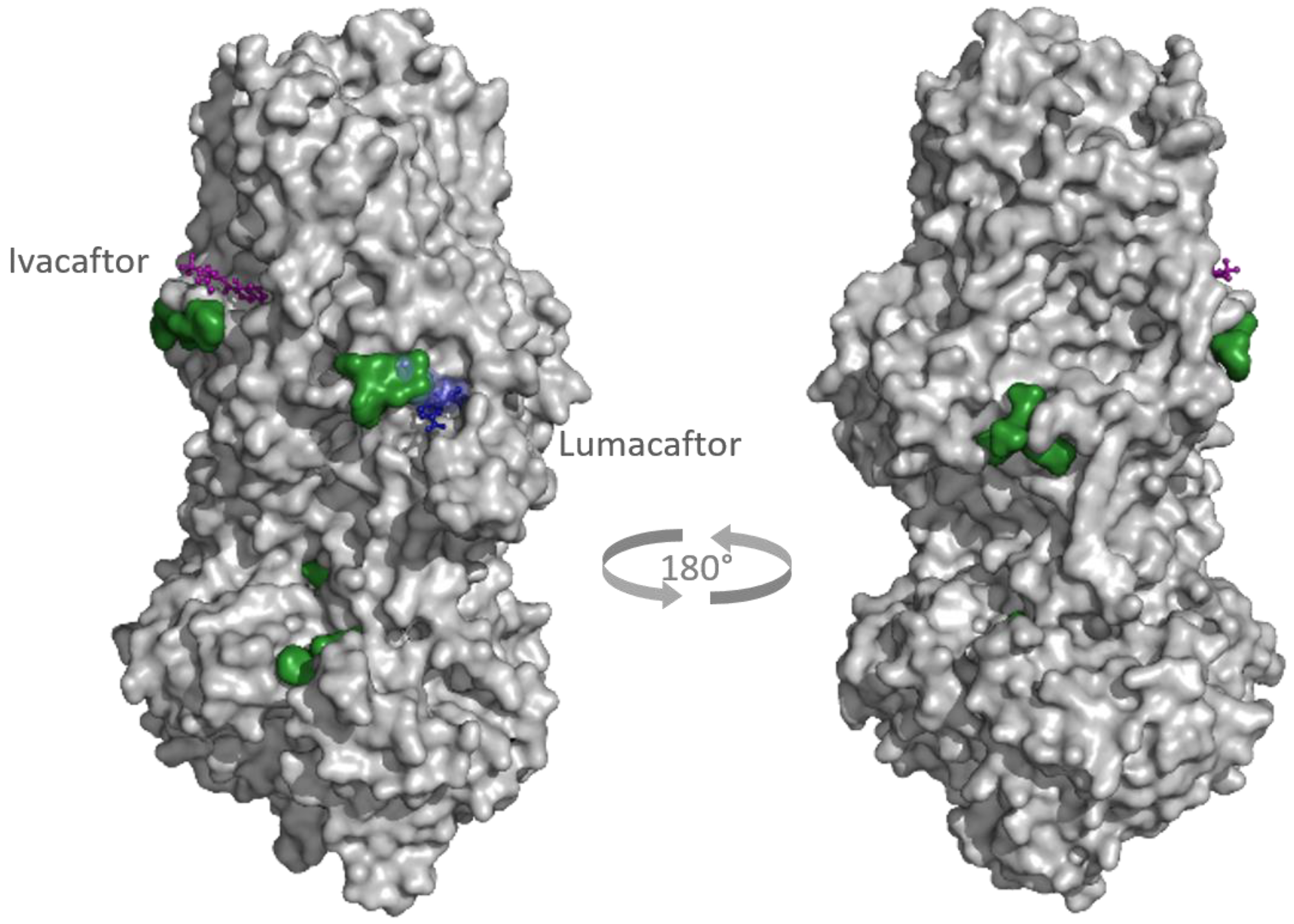 Ijms 23 12351 g010 Ijms 23 12351 g010