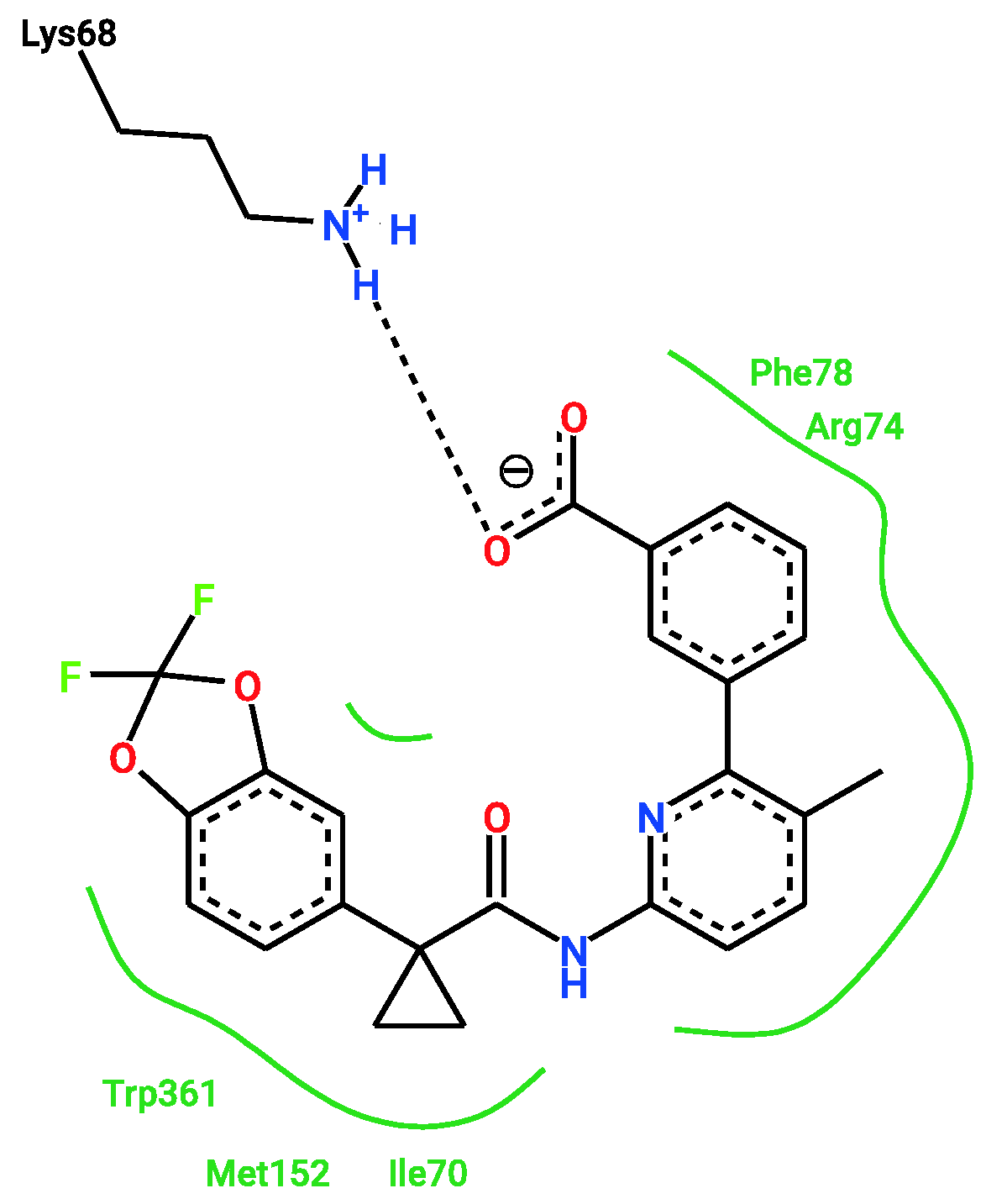 Ijms 23 12351 g012 Ijms 23 12351 g012