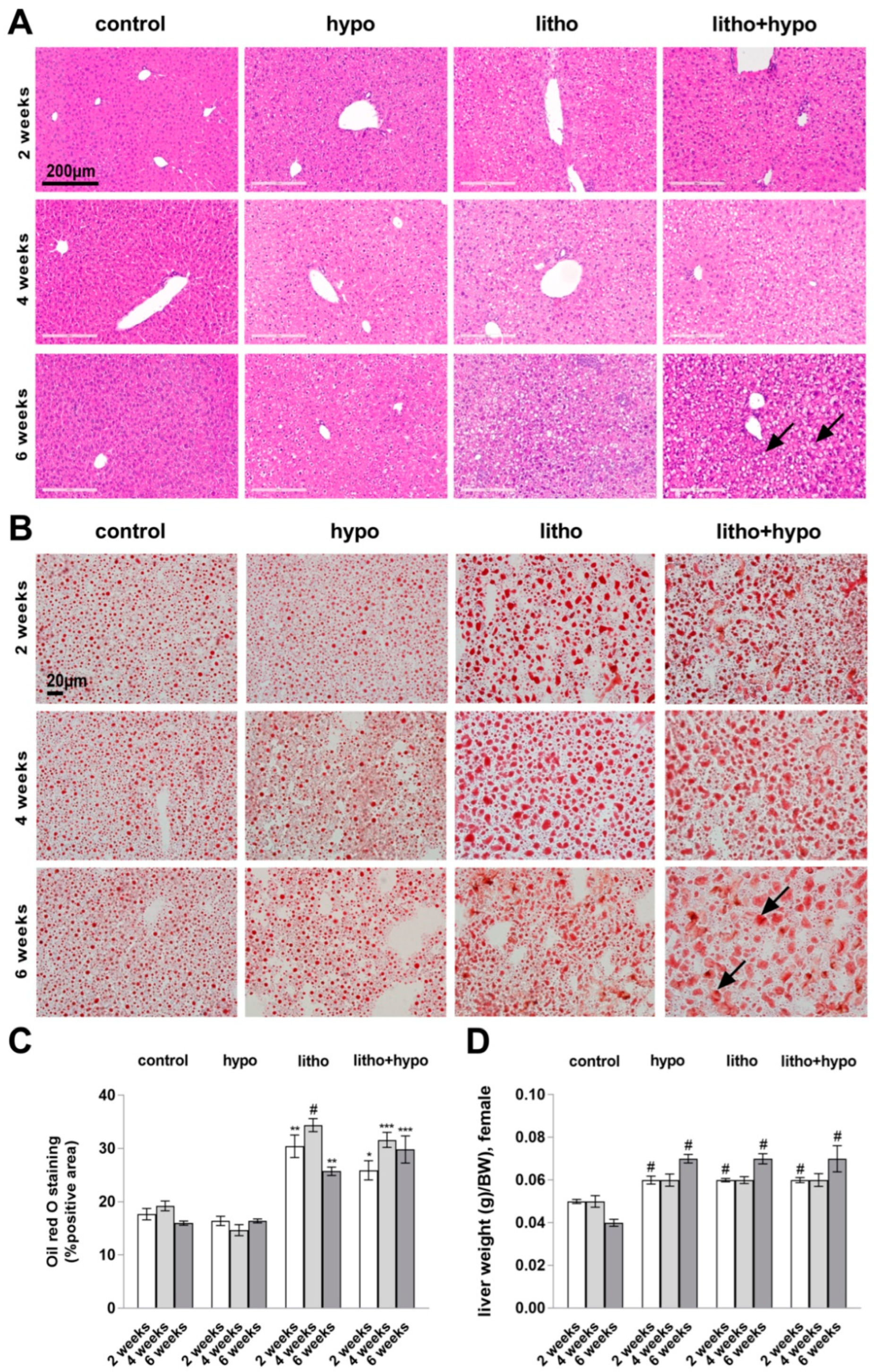 Ijms 23 12355 g001 Ijms 23 12355 g001