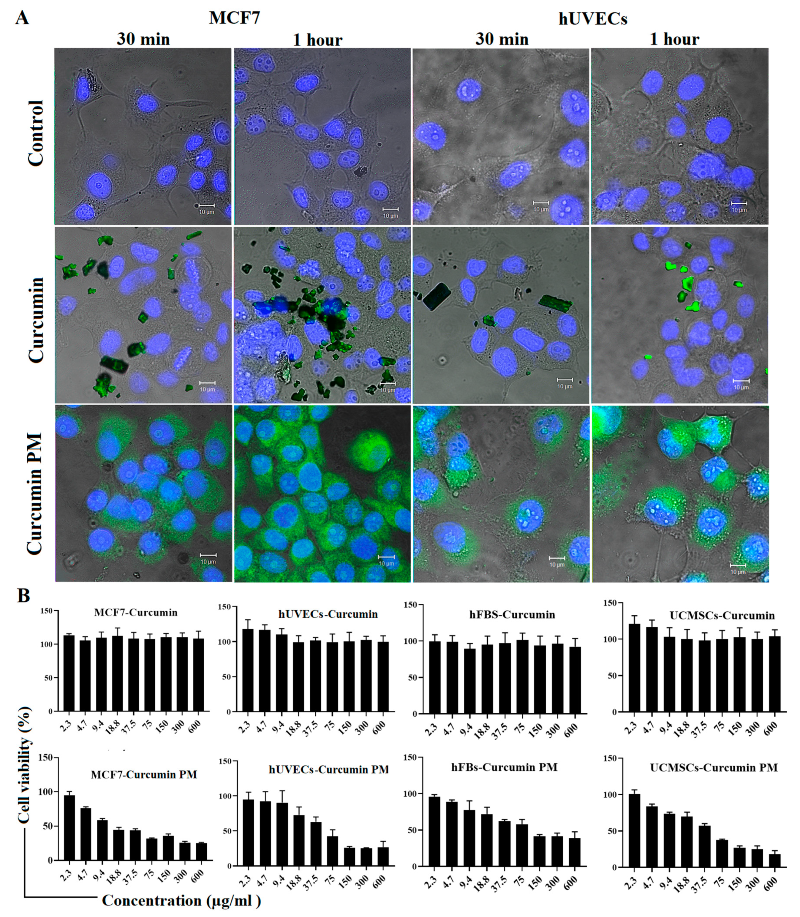 Ijms 23 12362 g001 Ijms 23 12362 g001