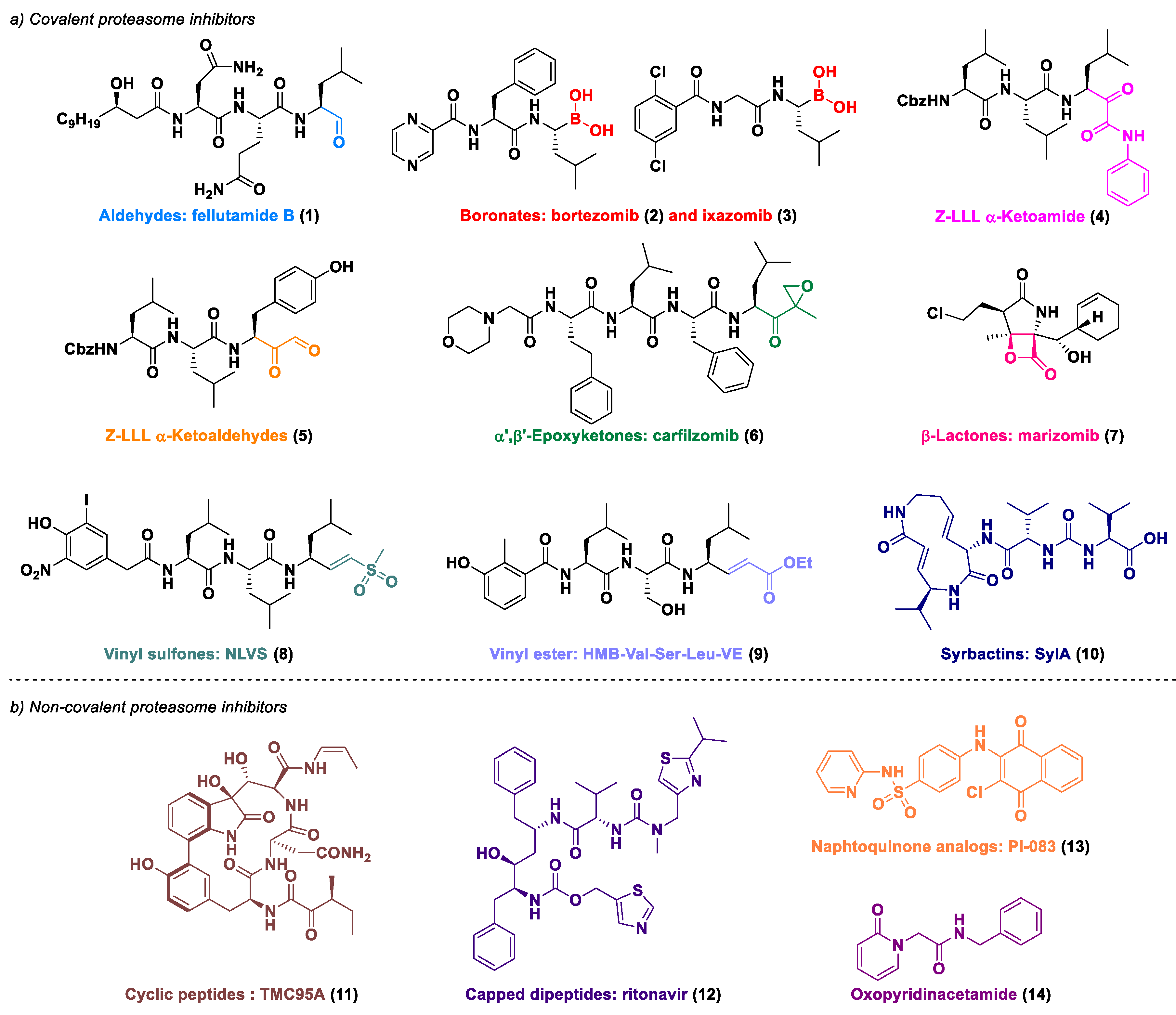 Ijms 23 12363 g001 Ijms 23 12363 g001