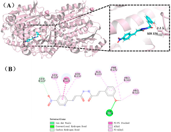 Discovery of Simple Diacylhydrazine-Functionalized Cinnamic
