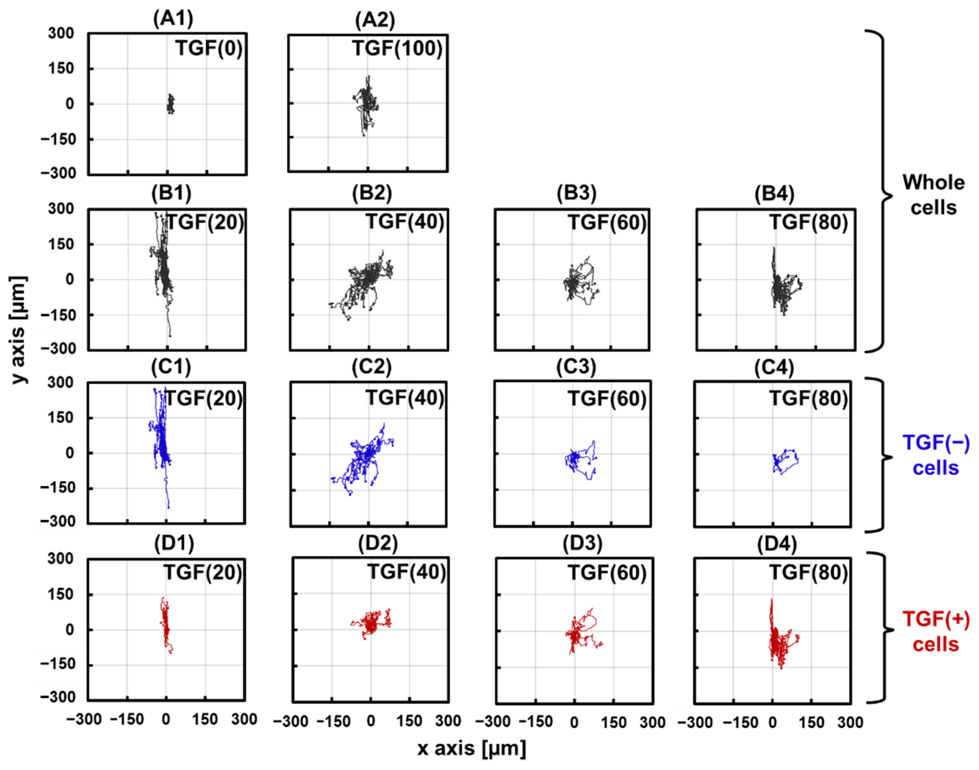 Ijms 23 12372 g004 Ijms 23 12372 g004