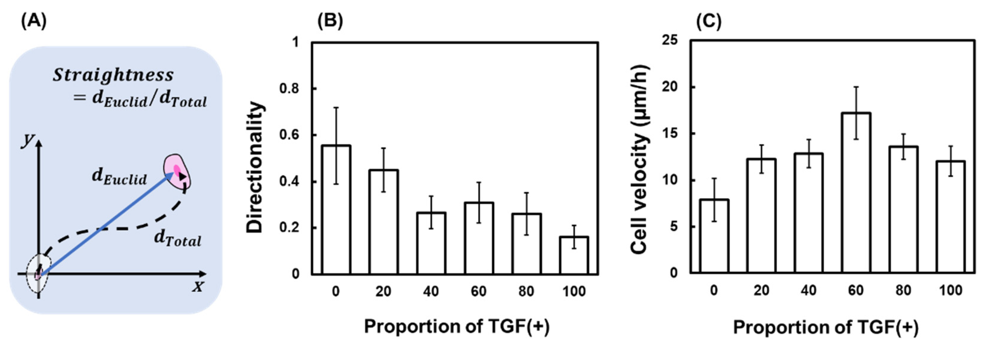 Ijms 23 12372 g005 Ijms 23 12372 g005