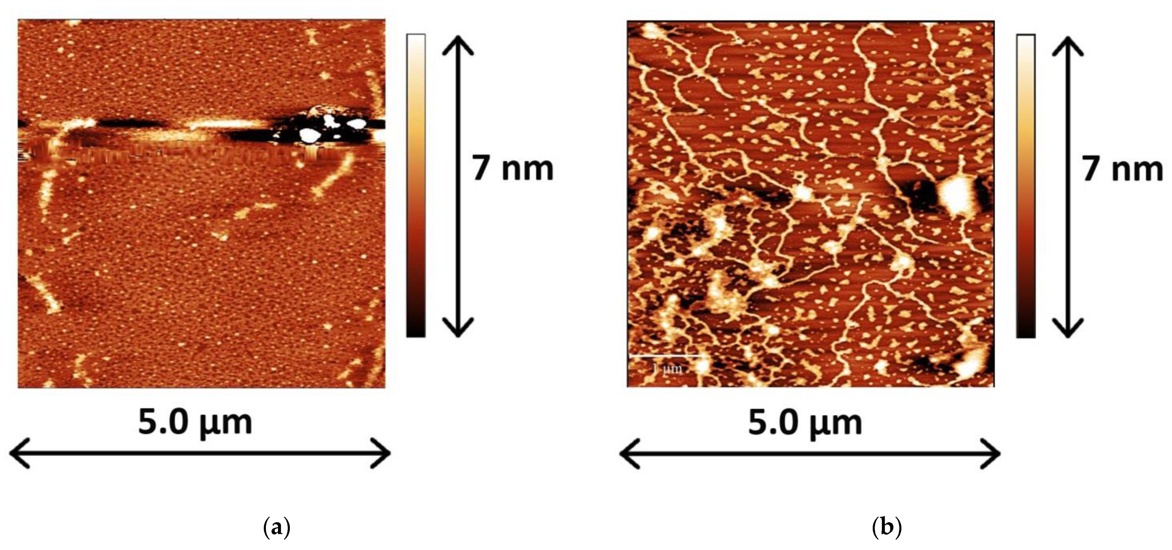 Ijms 23 12377 g003a Ijms 23 12377 g003a