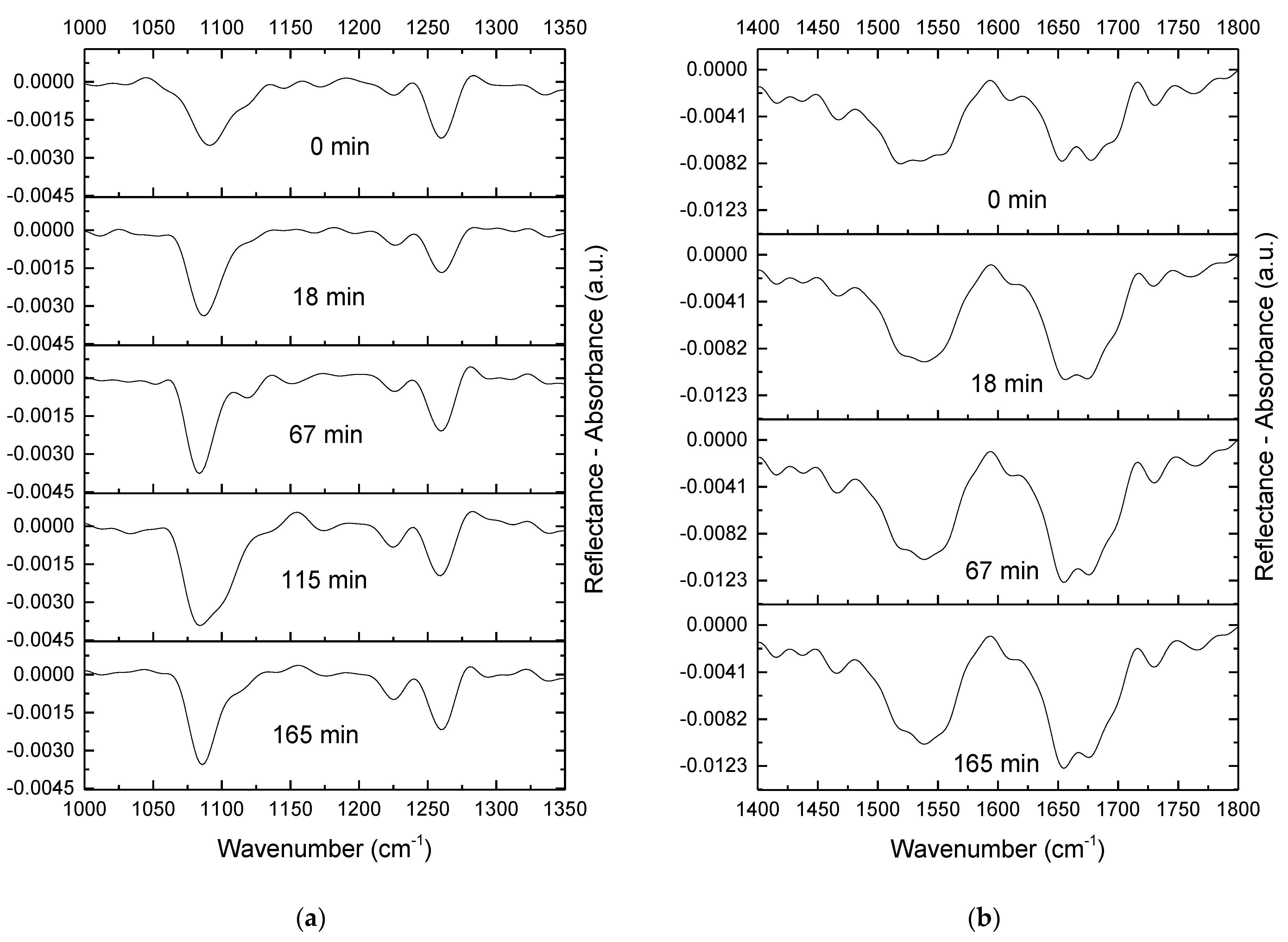 Ijms 23 12377 g006 Ijms 23 12377 g006