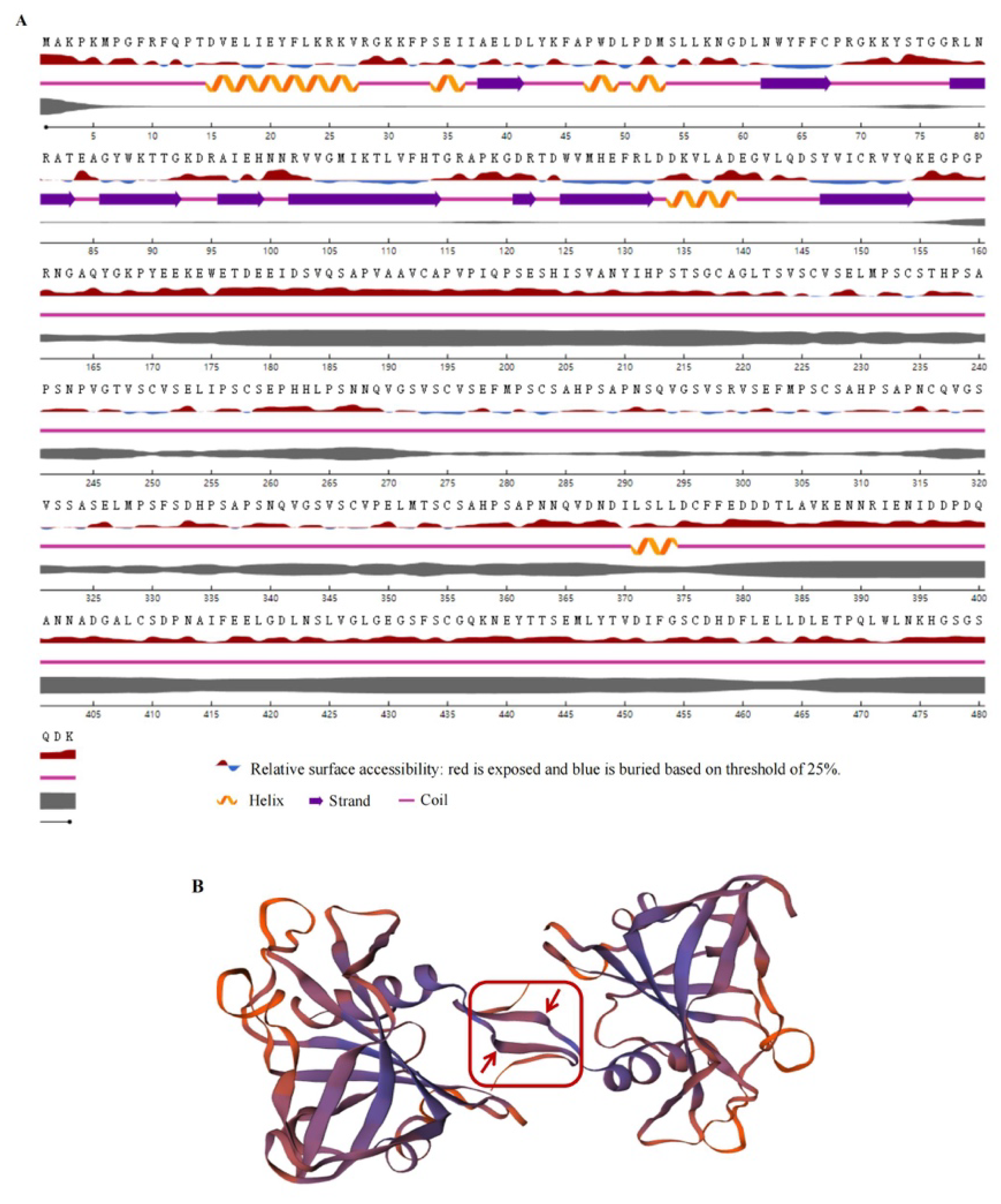 Ijms 23 12378 g002 Ijms 23 12378 g002