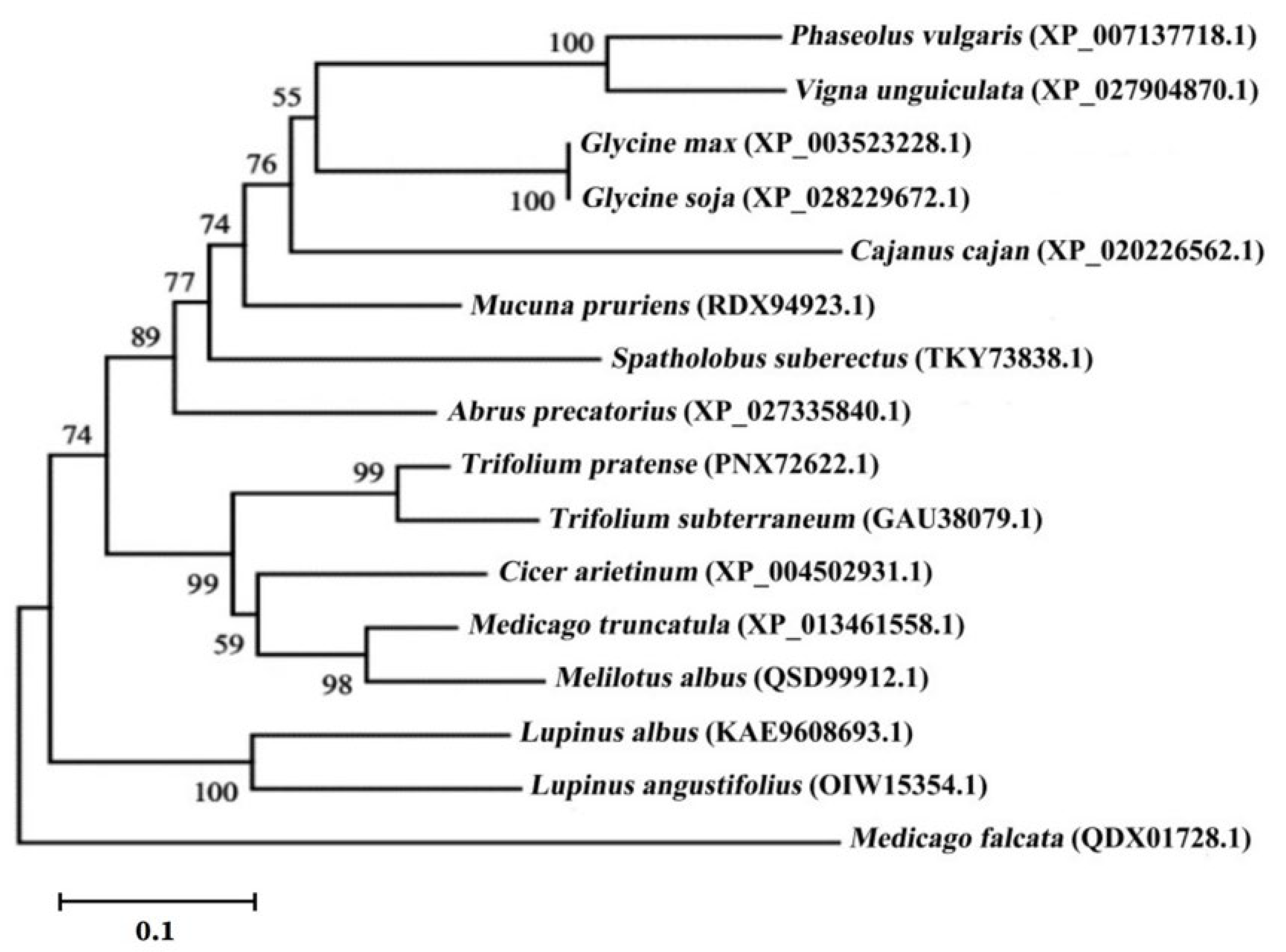 Ijms 23 12378 g003 Ijms 23 12378 g003