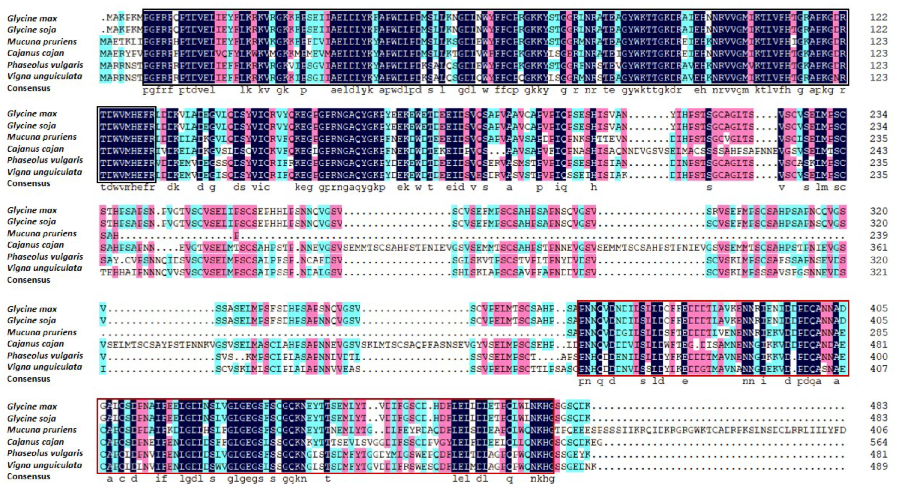 Ijms 23 12378 g004 Ijms 23 12378 g004