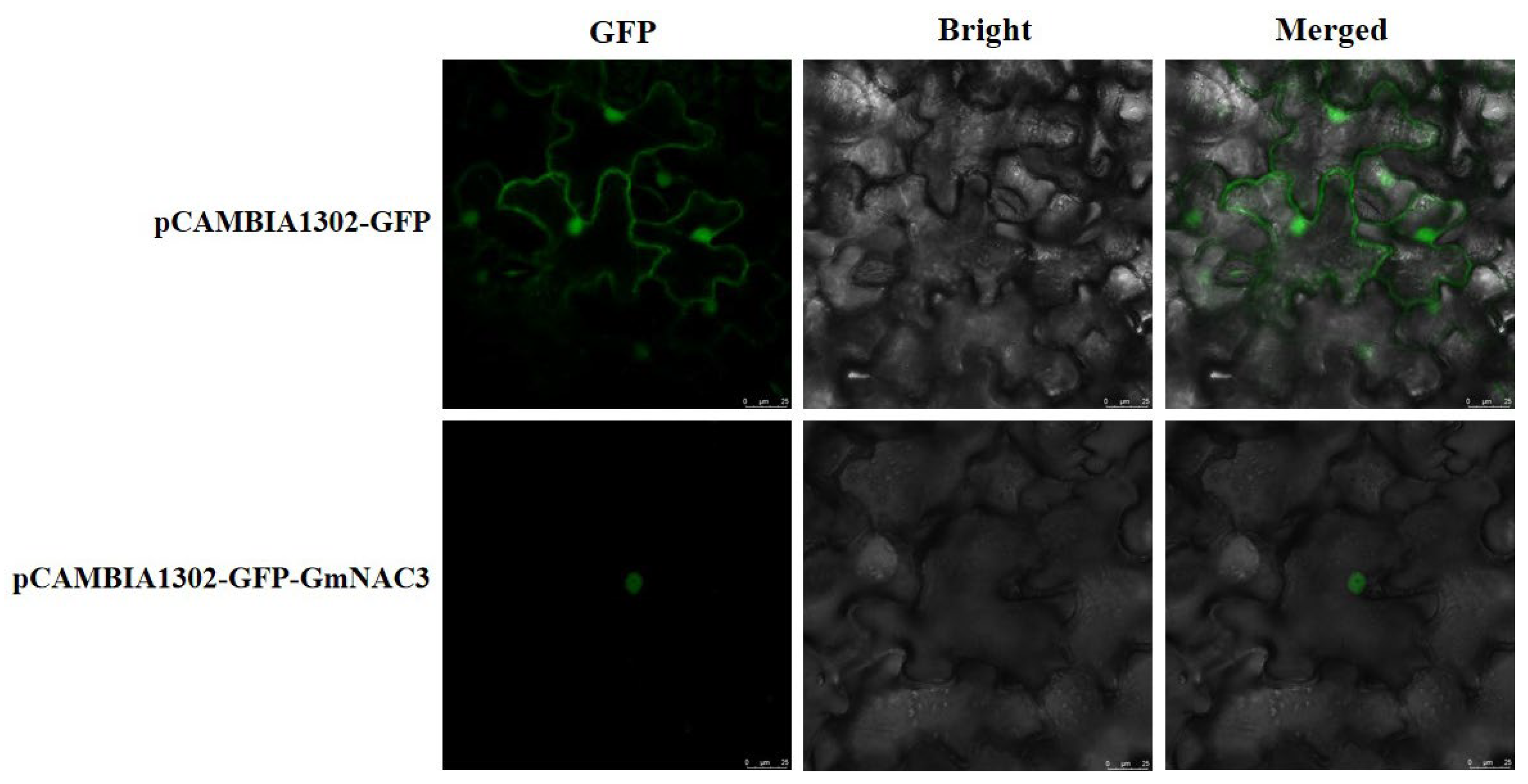 Ijms 23 12378 g006 Ijms 23 12378 g006