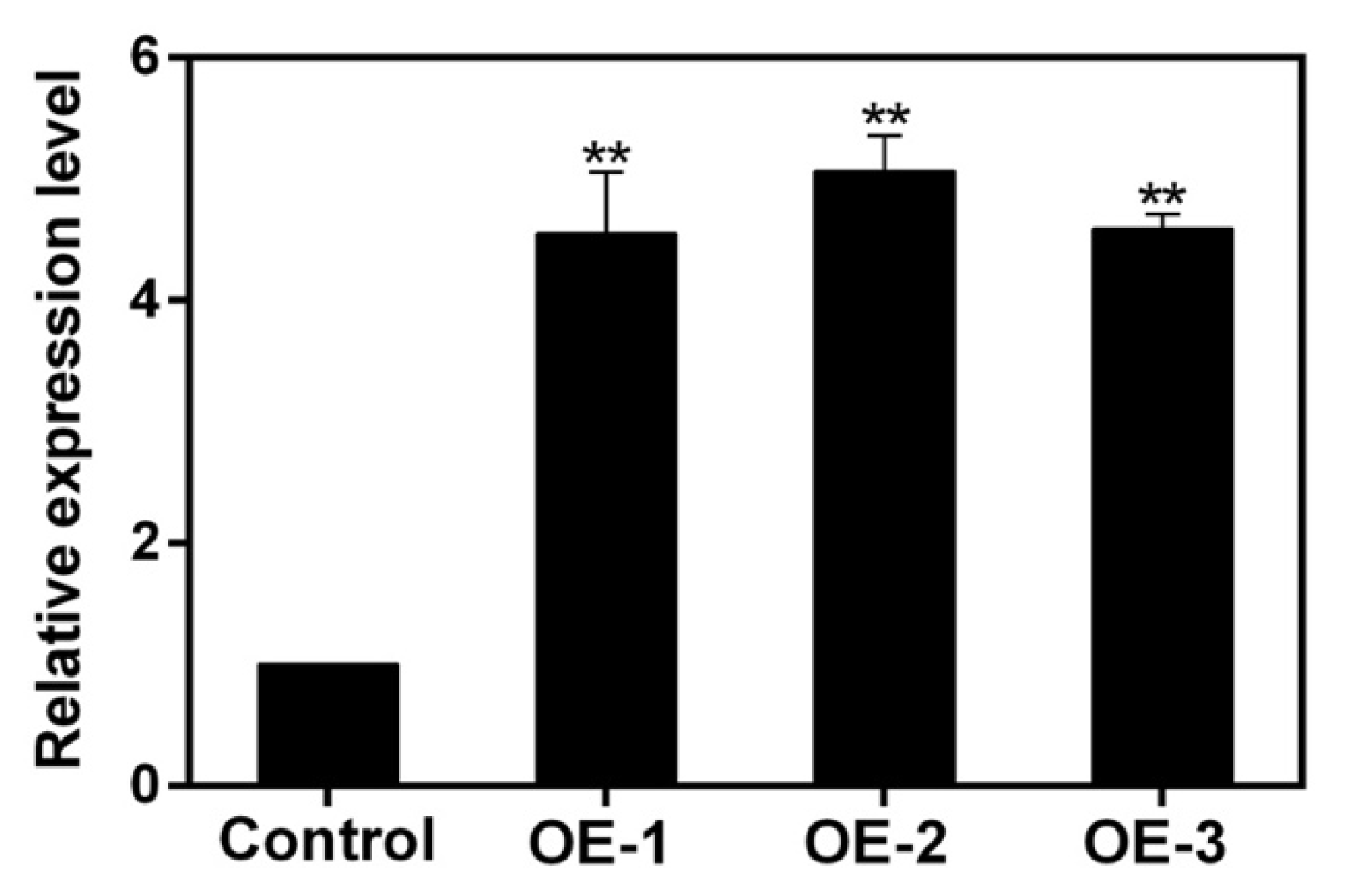 Ijms 23 12378 g008 Ijms 23 12378 g008