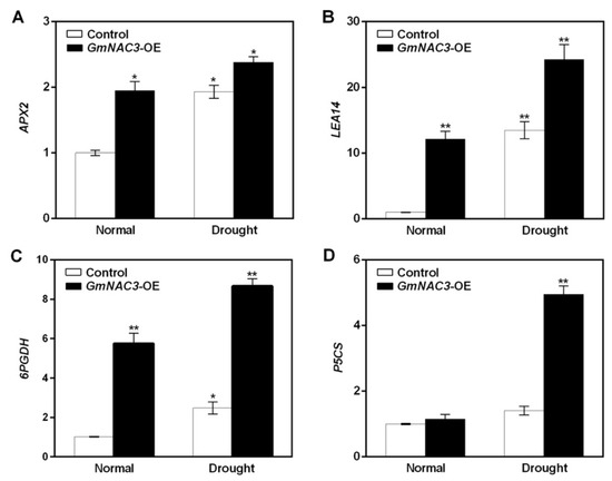 Molecular Characterization and Drought Resistance of GmNAC3