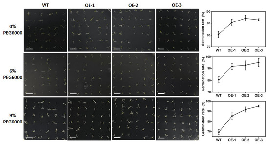Molecular Characterization and Drought Resistance of GmNAC3