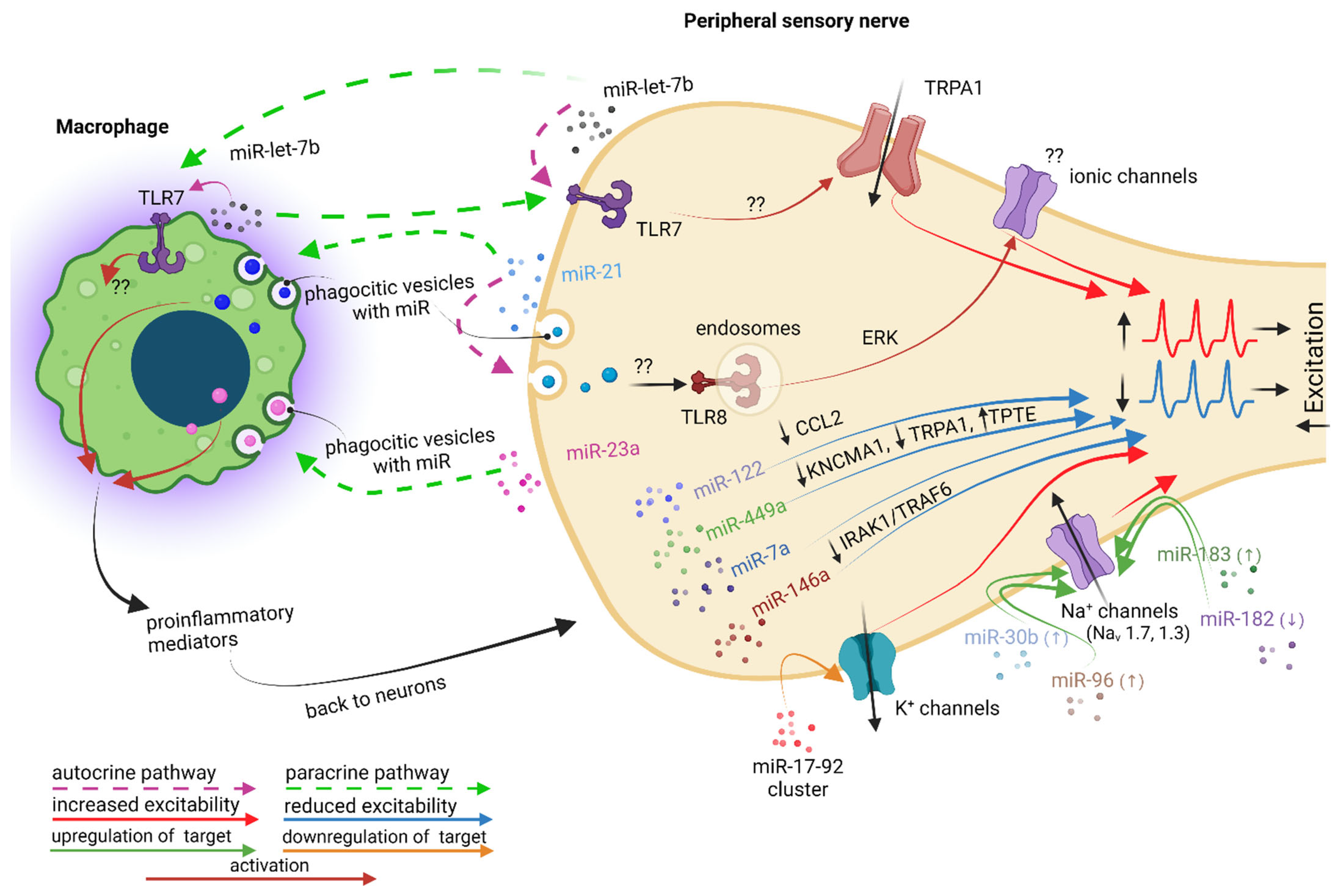 Ijms 23 12389 g006 Ijms 23 12389 g006