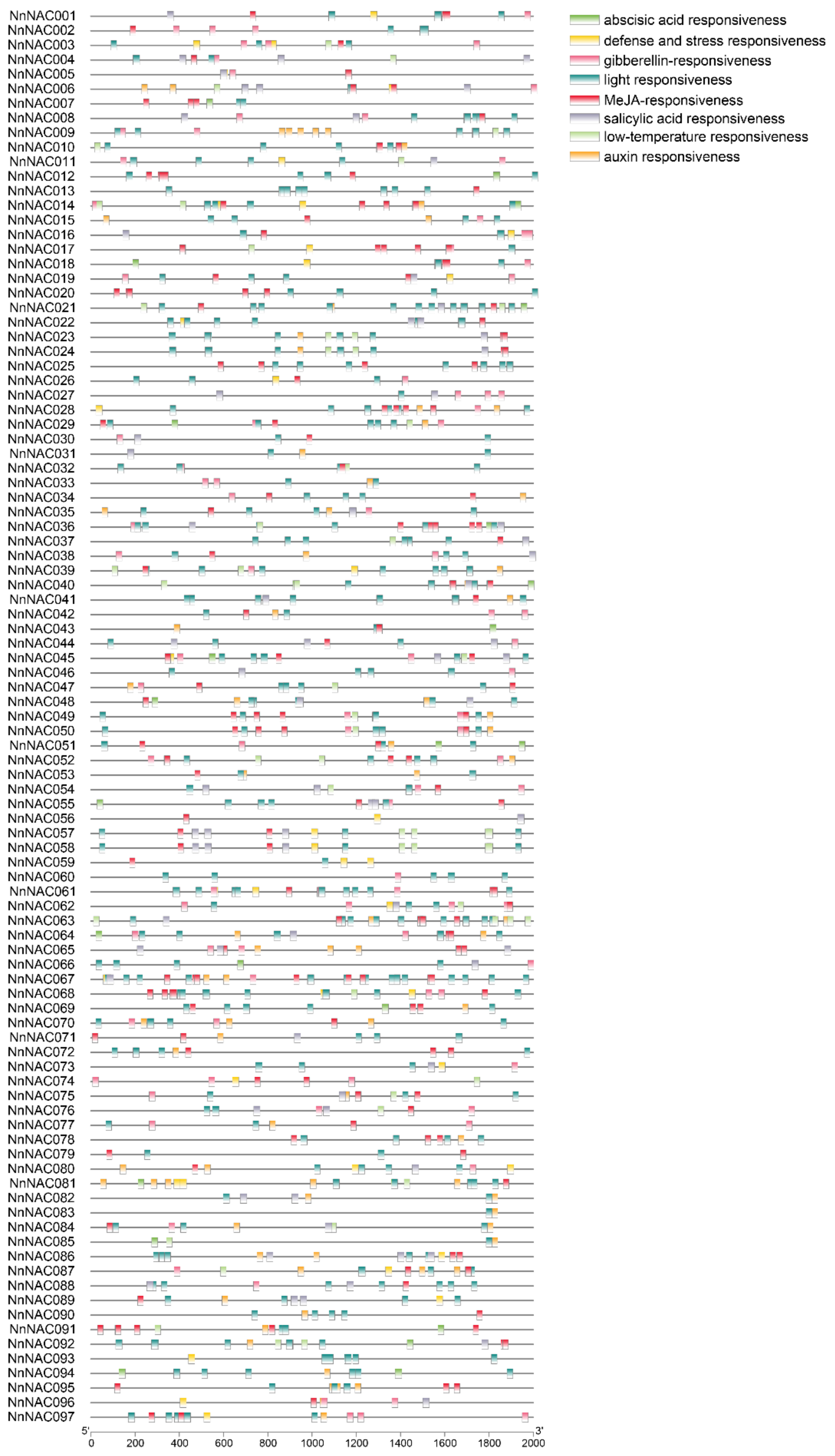 Ijms 23 12394 g004 Ijms 23 12394 g004