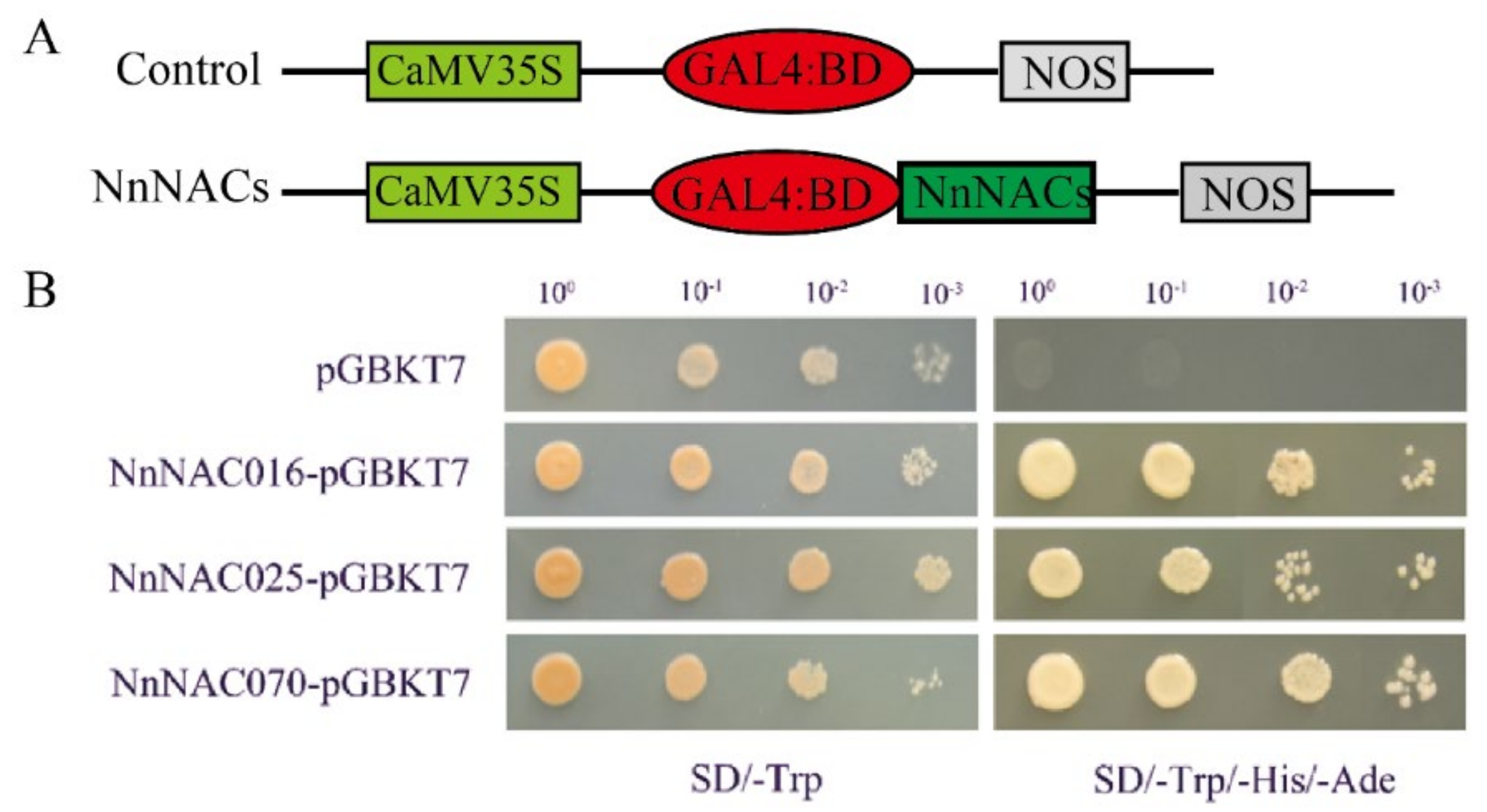 Ijms 23 12394 g007 Ijms 23 12394 g007