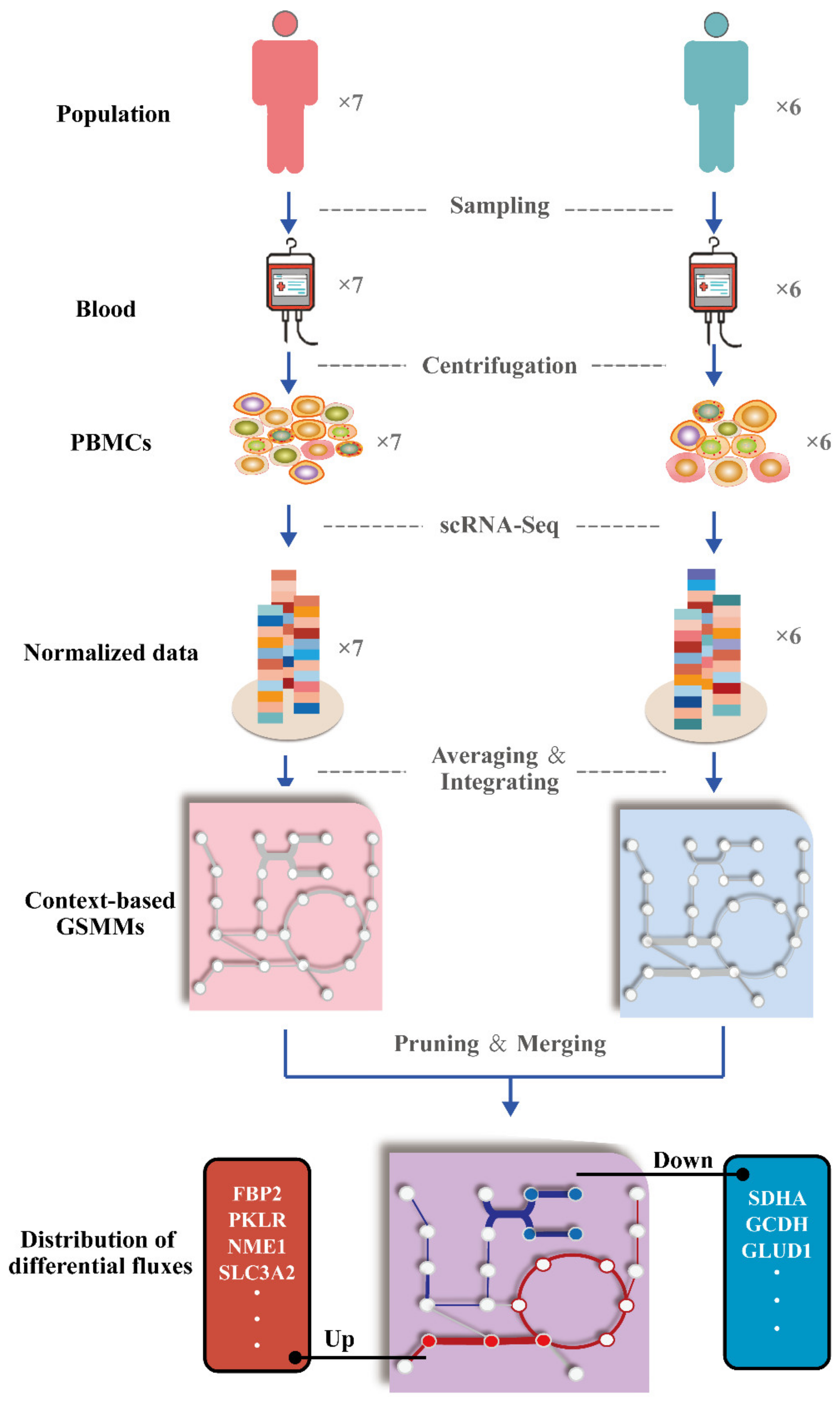 Ijms 23 12400 g002 Ijms 23 12400 g002