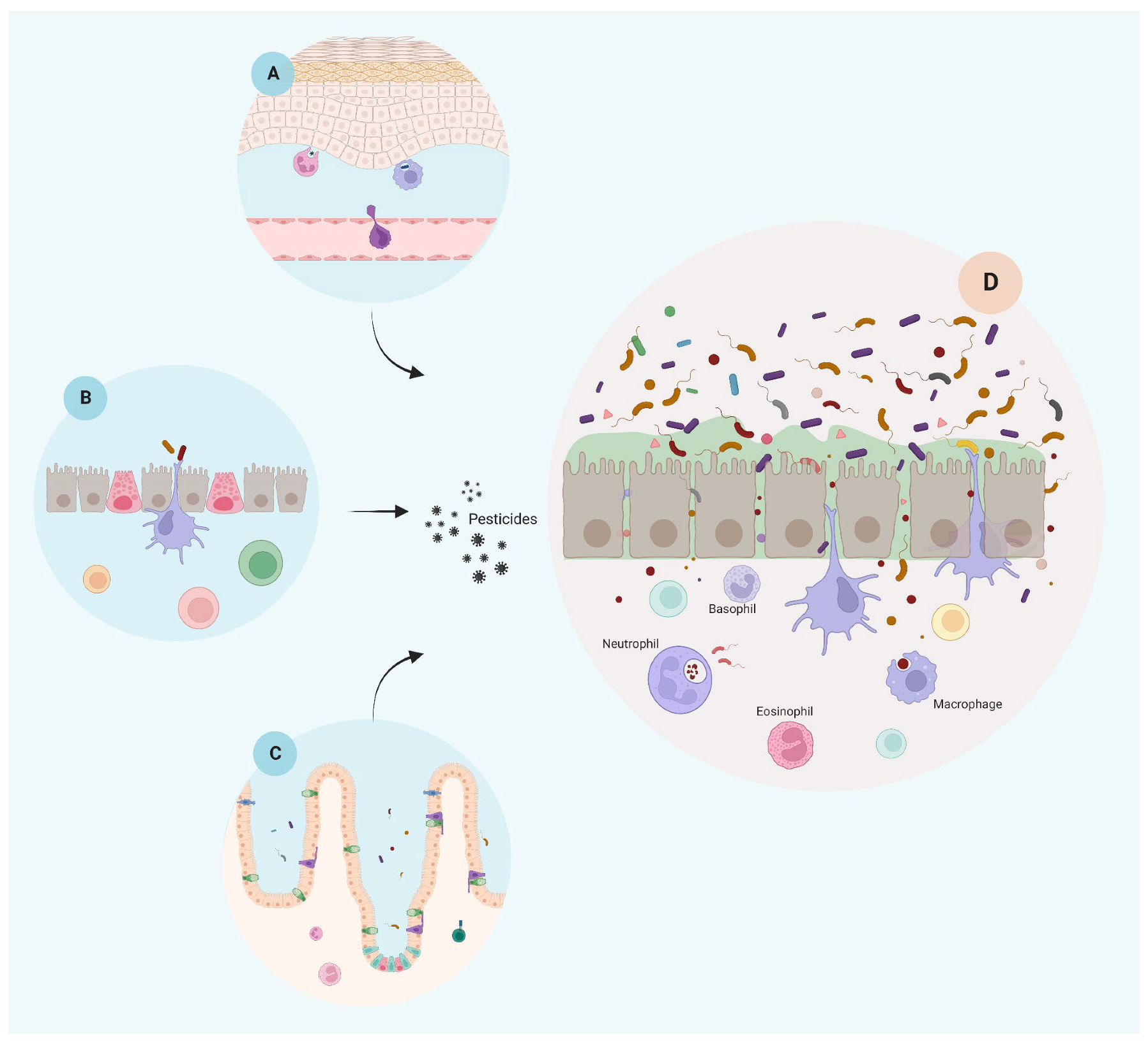Ijms 23 12402 g001 Ijms 23 12402 g001