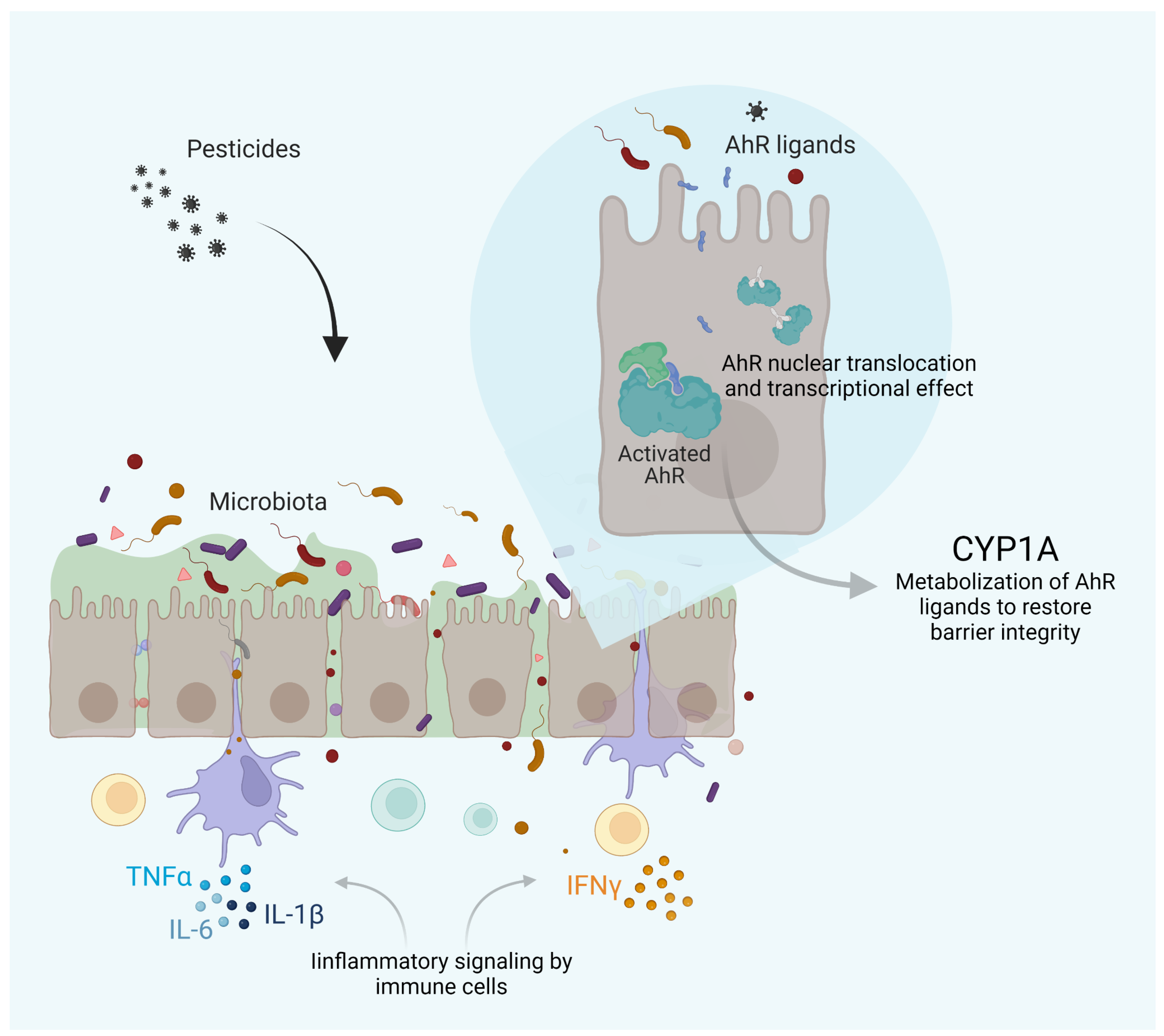 Ijms 23 12402 g002 Ijms 23 12402 g002