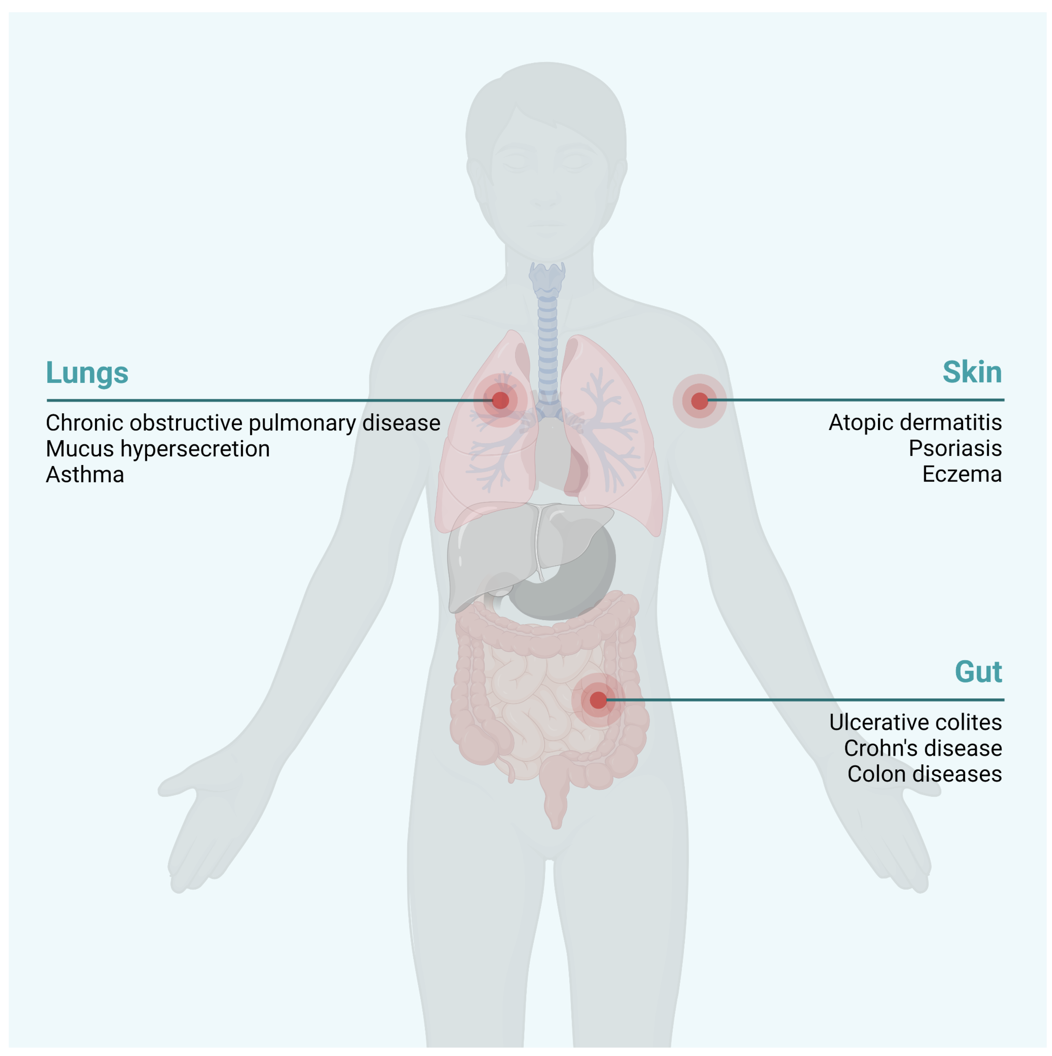 Ijms 23 12402 g003 Ijms 23 12402 g003