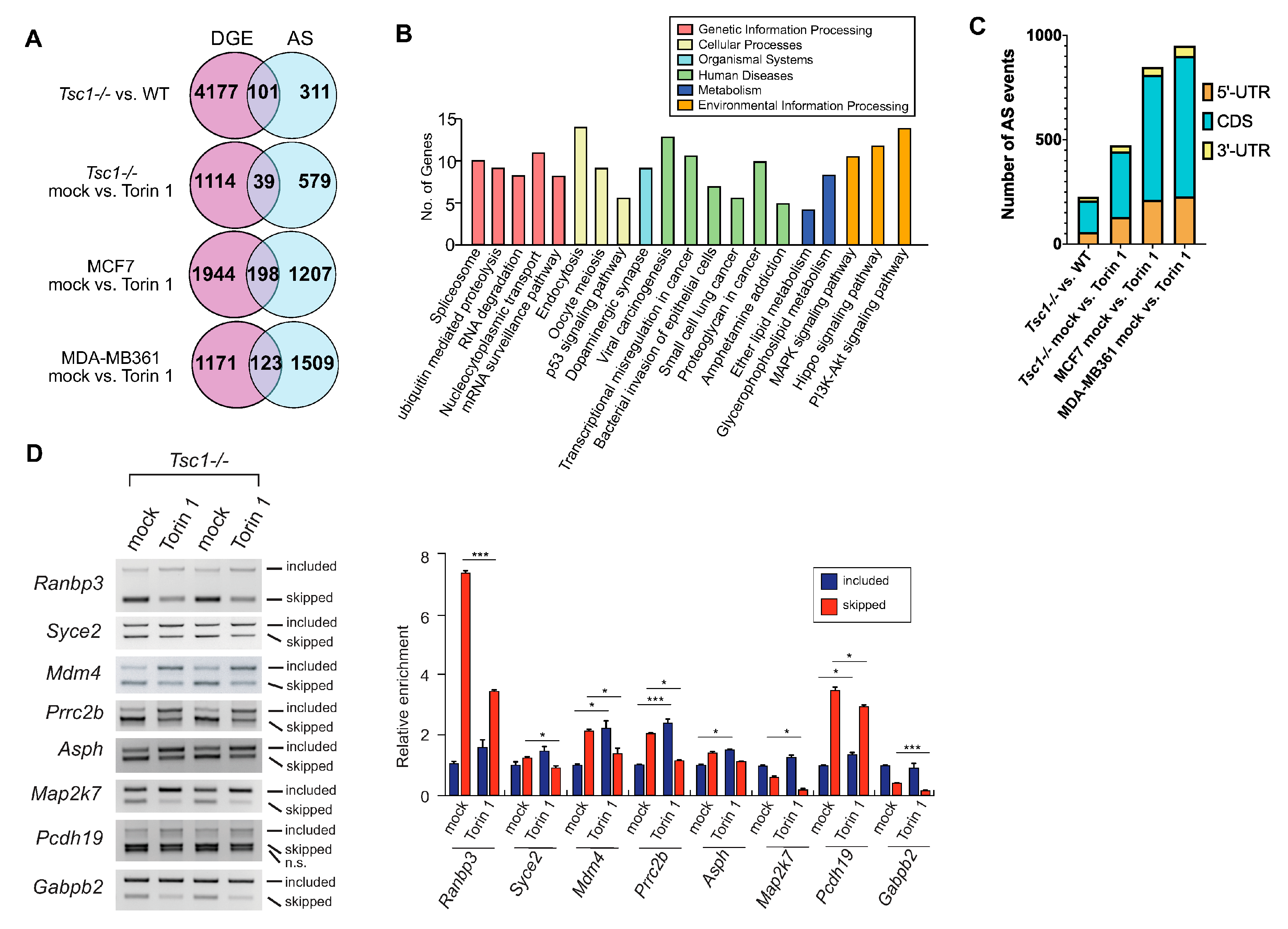 Ijms 23 12416 g002 Ijms 23 12416 g002