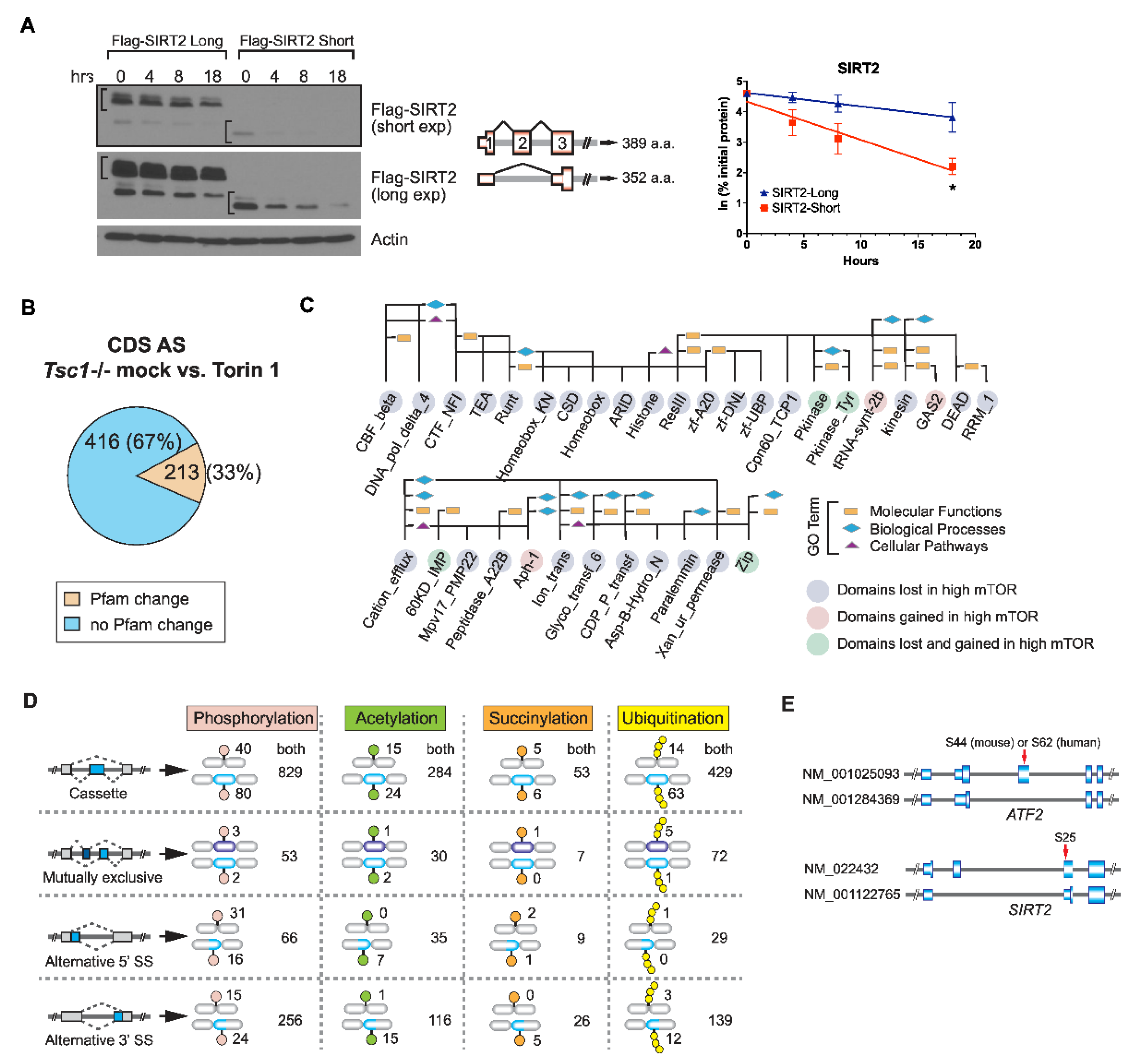 Ijms 23 12416 g004 Ijms 23 12416 g004