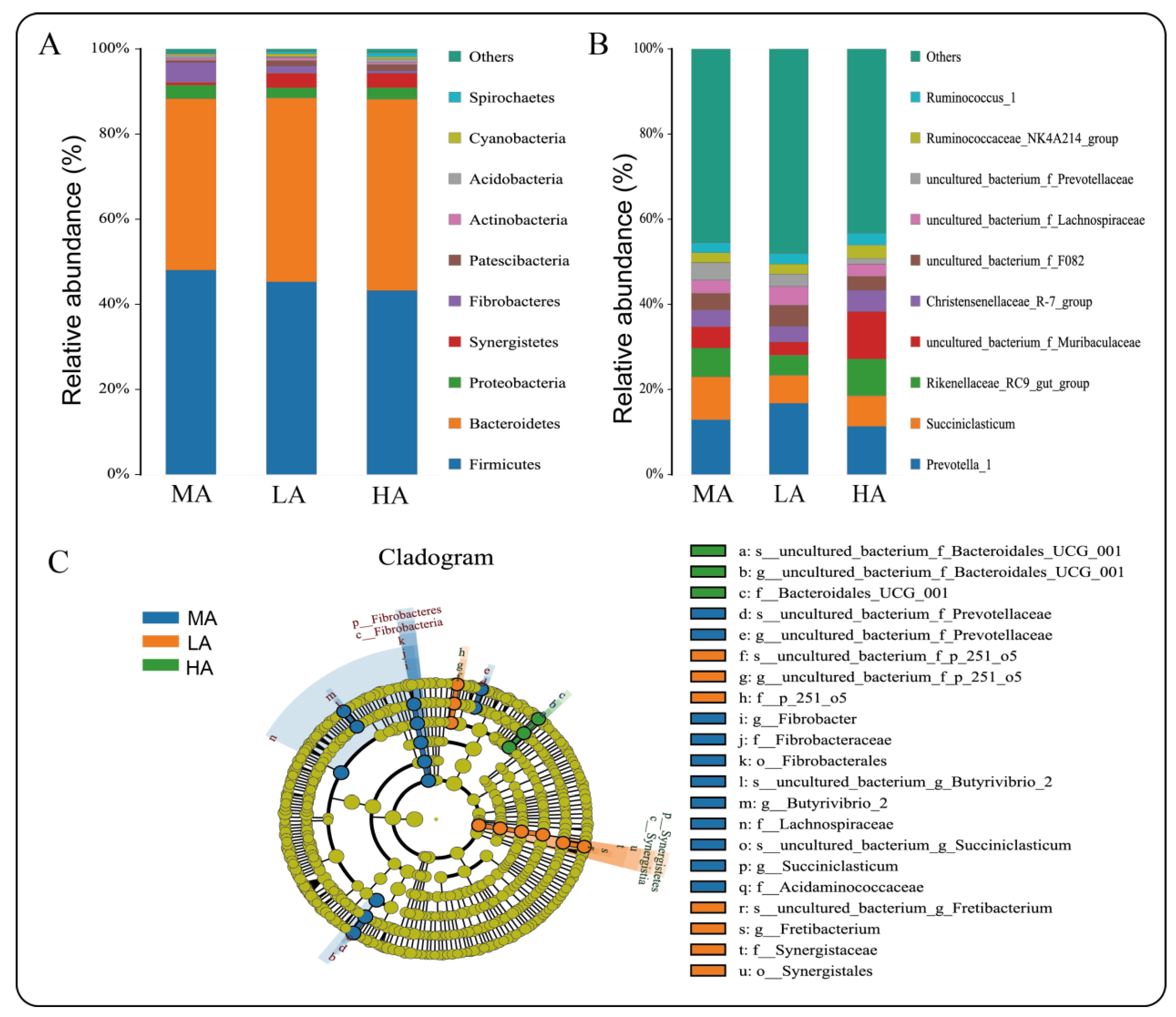 Ijms 23 12430 g005 Ijms 23 12430 g005