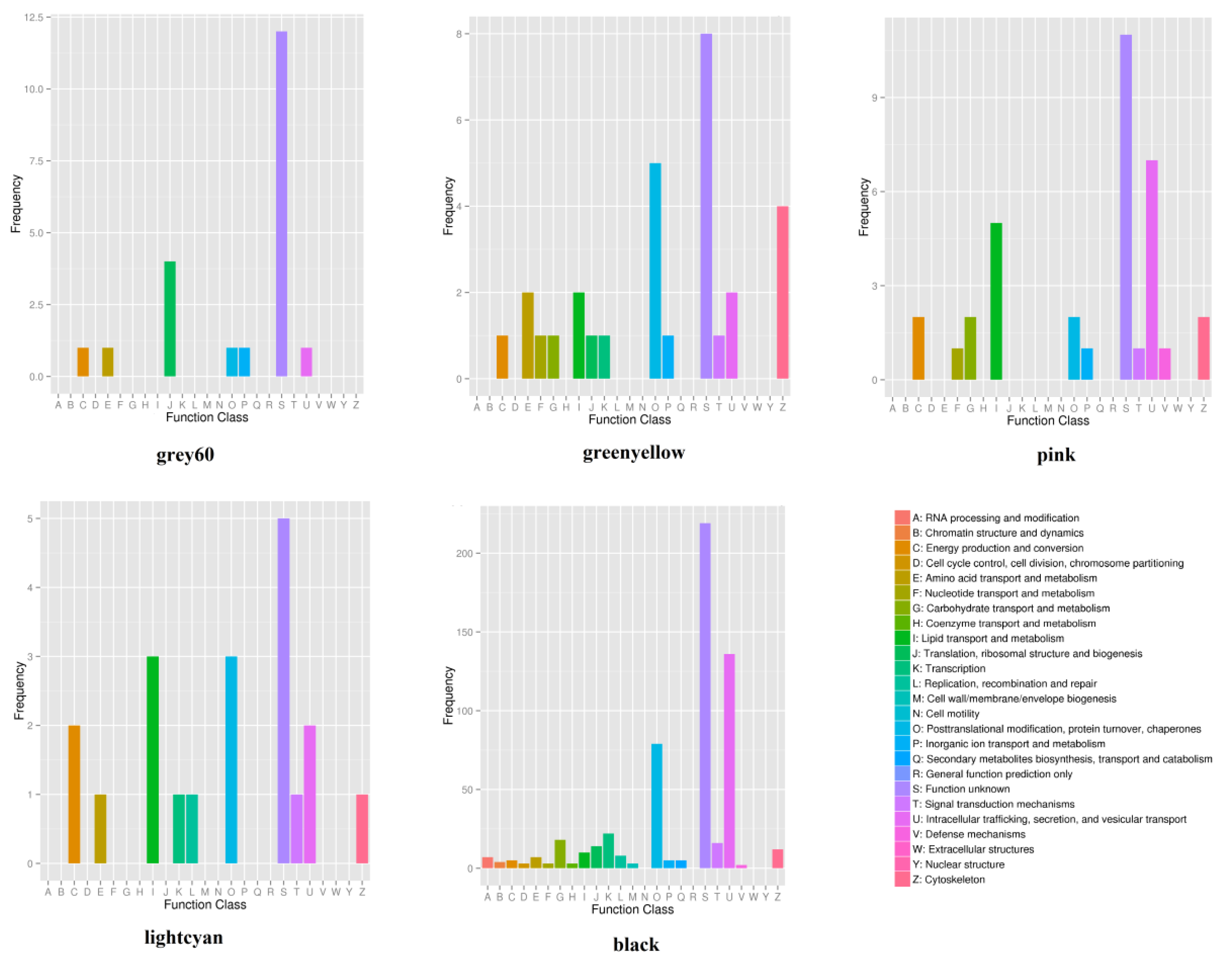 Ijms 23 12430 g009 Ijms 23 12430 g009