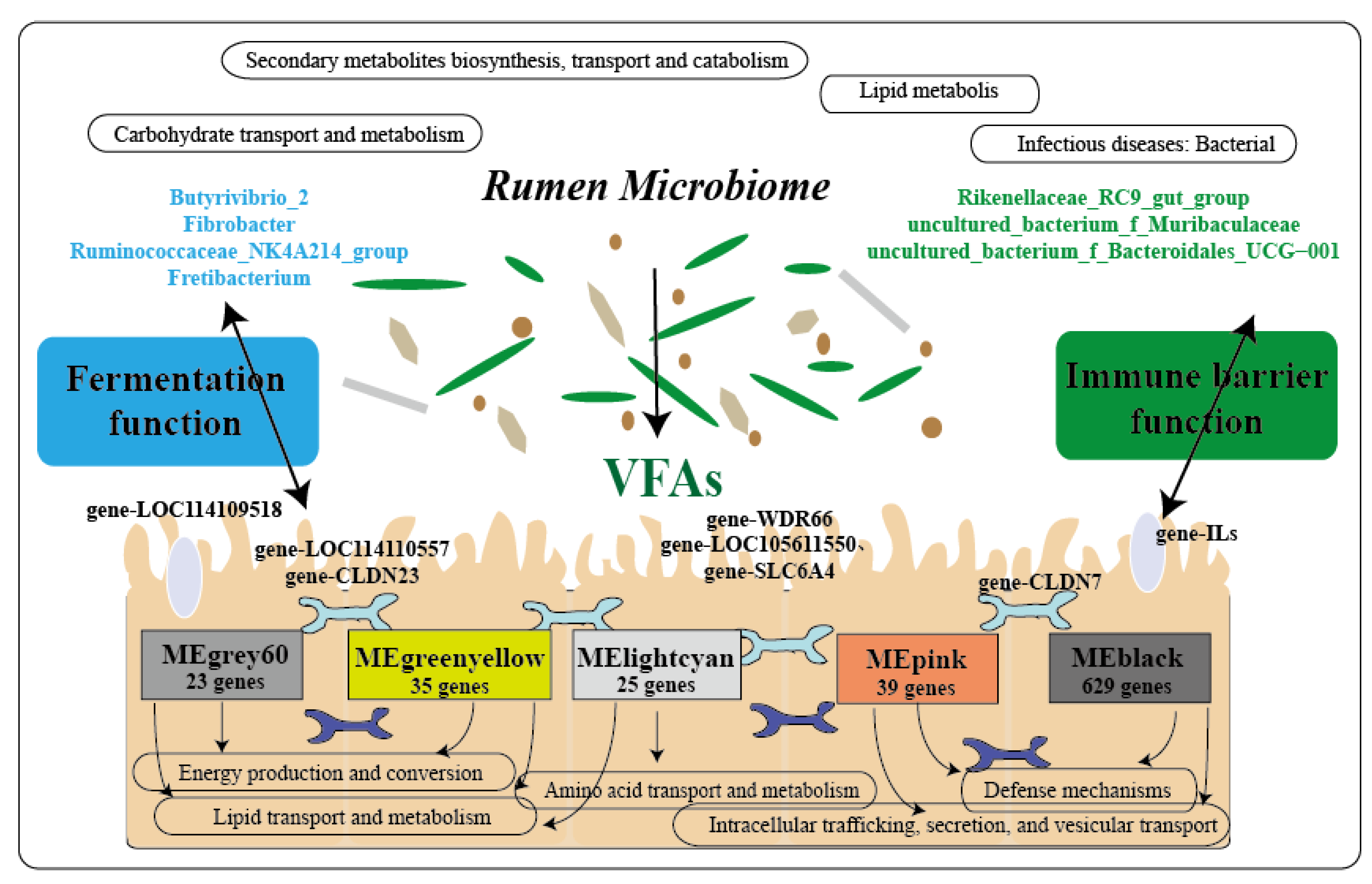 Ijms 23 12430 g011 Ijms 23 12430 g011