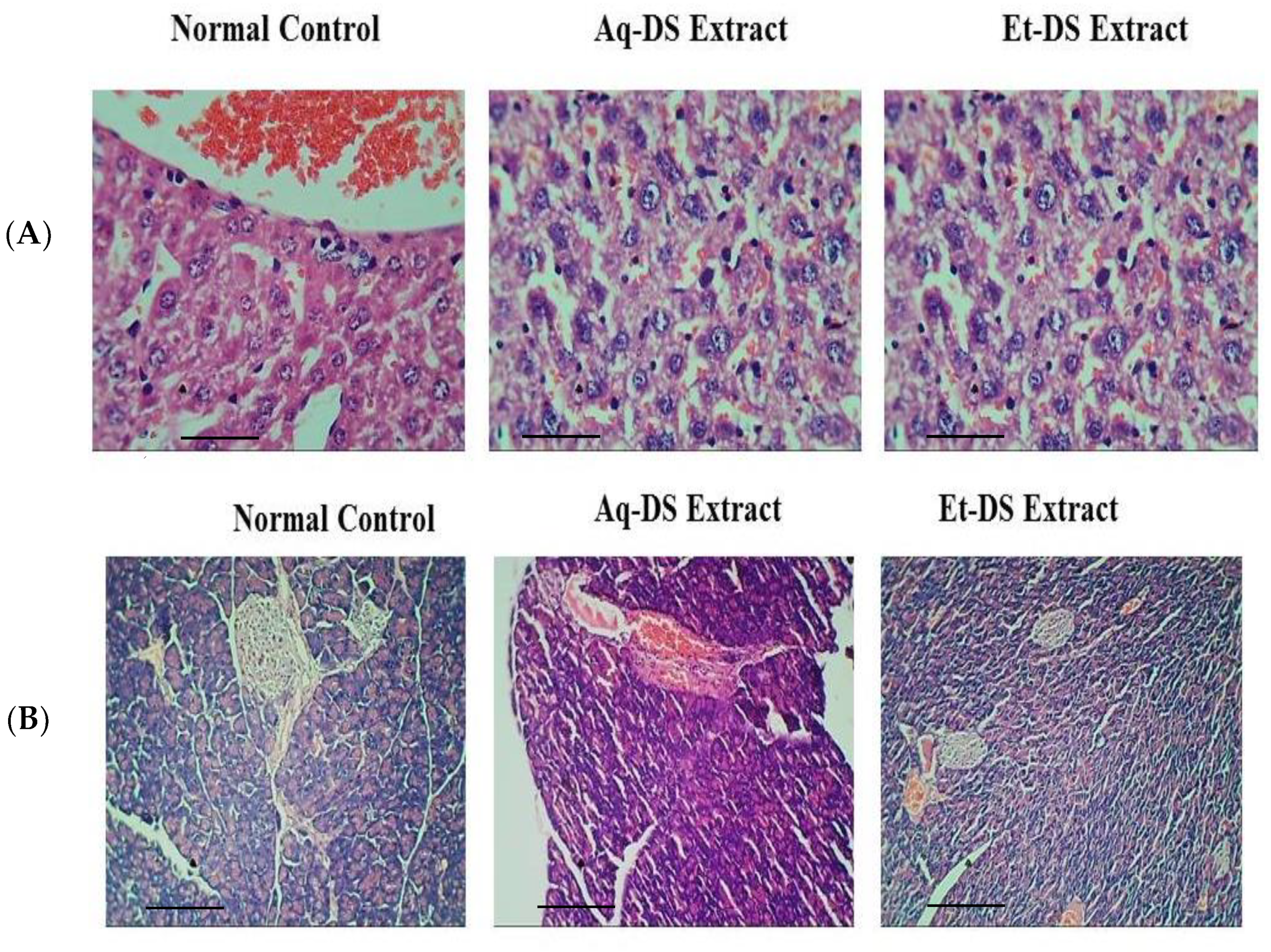 Ijms 23 12432 g002 Ijms 23 12432 g002