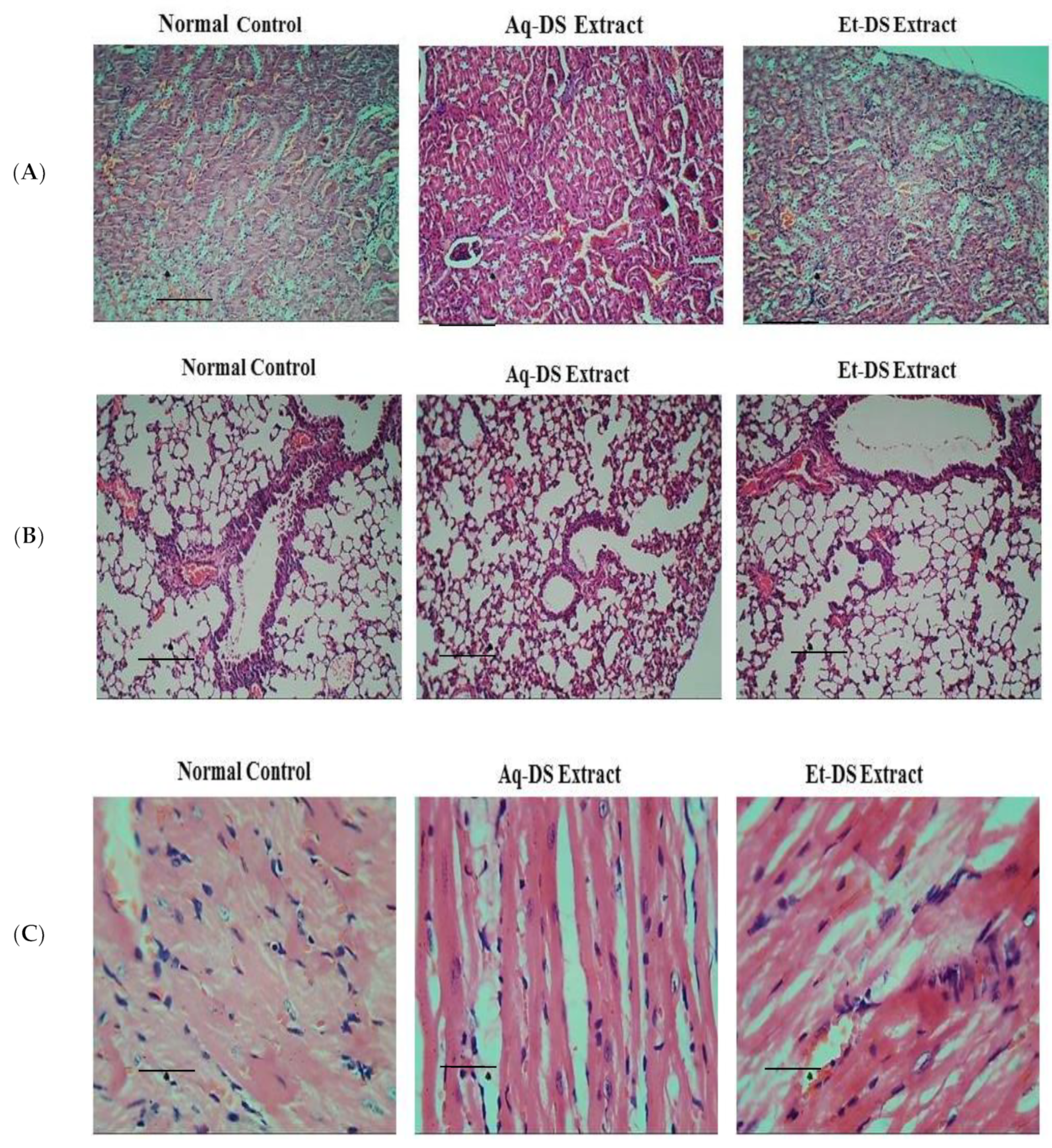 Ijms 23 12432 g003 Ijms 23 12432 g003