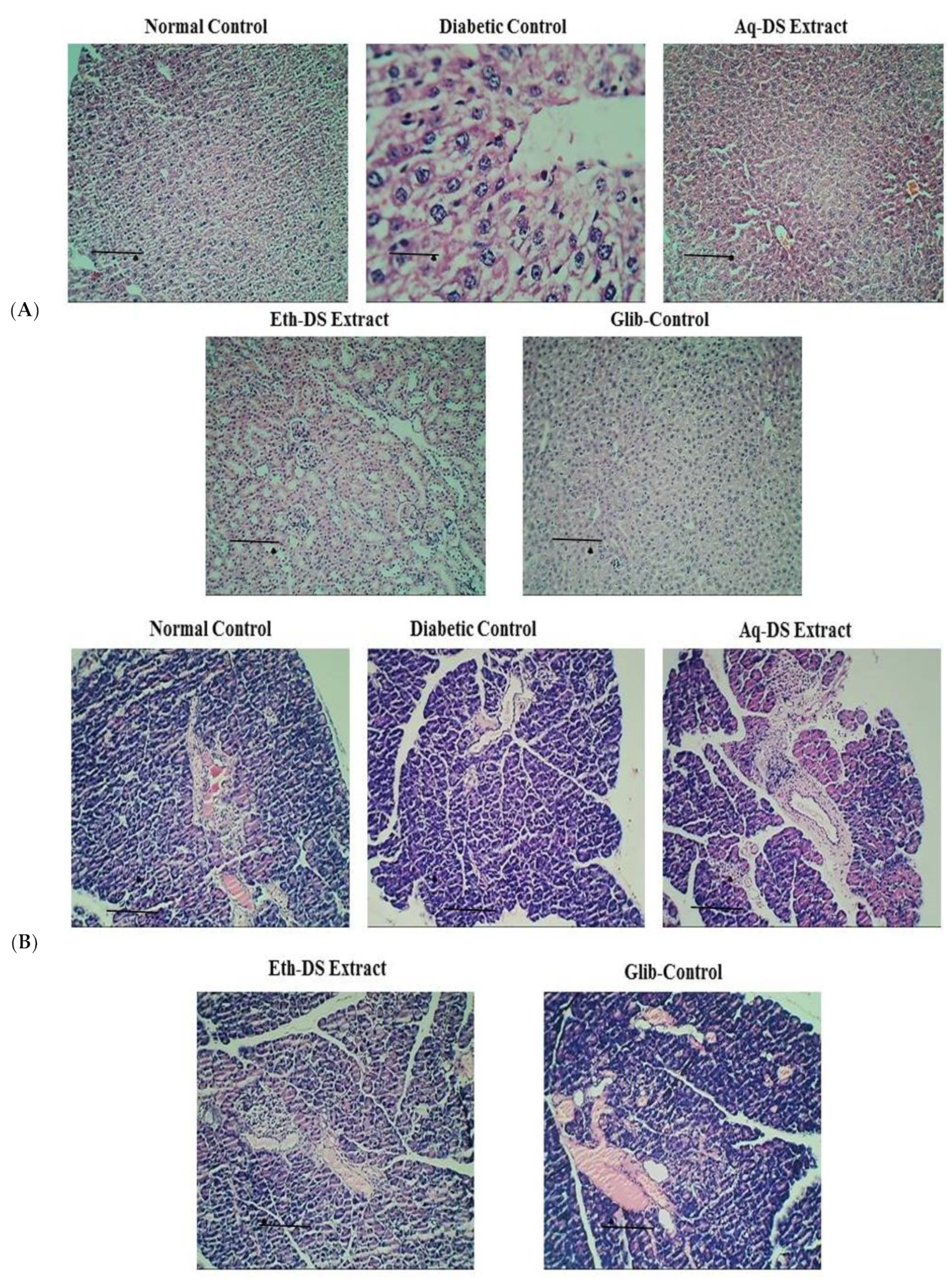 Ijms 23 12432 g007 Ijms 23 12432 g007