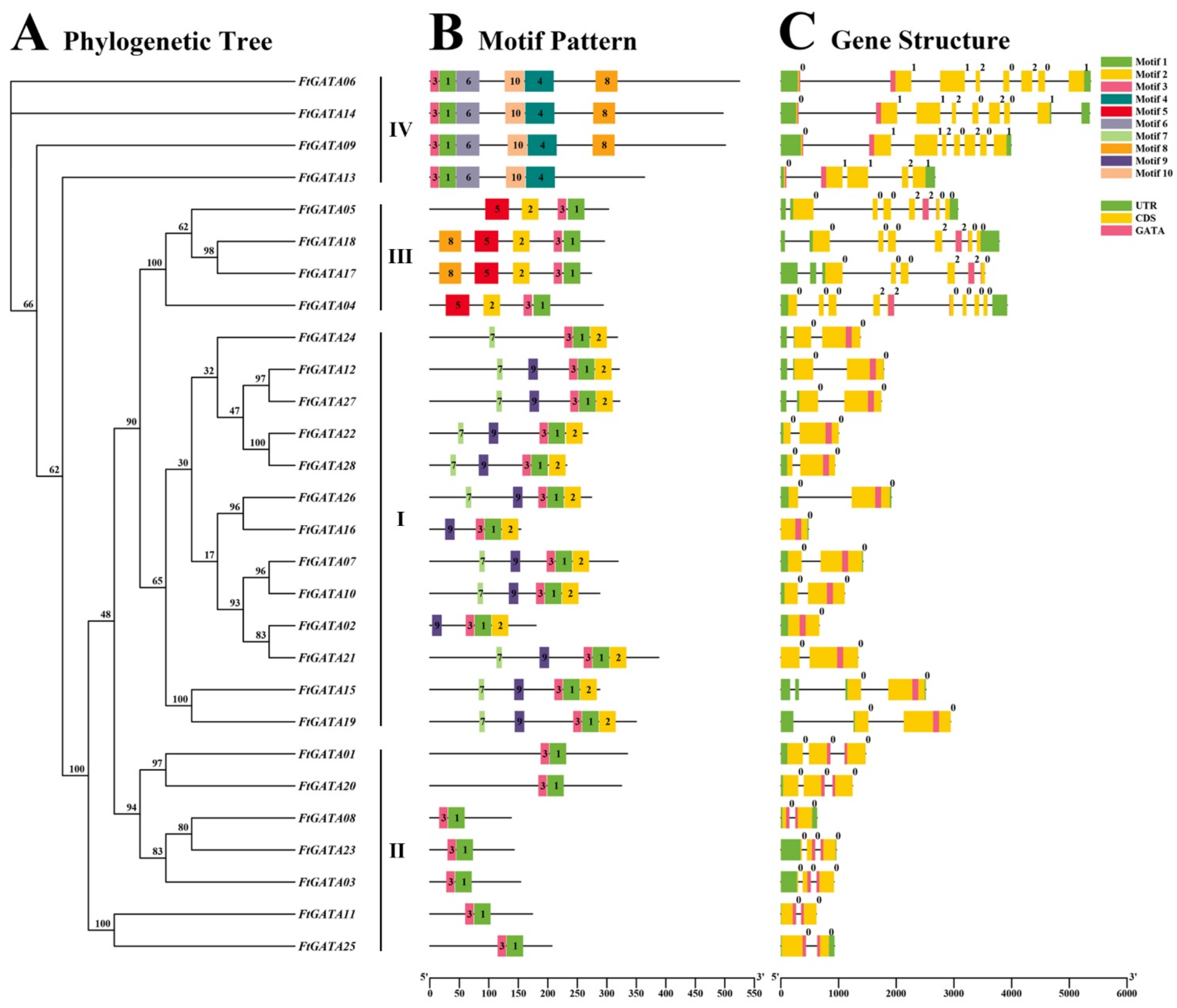 Ijms 23 12434 g002 Ijms 23 12434 g002