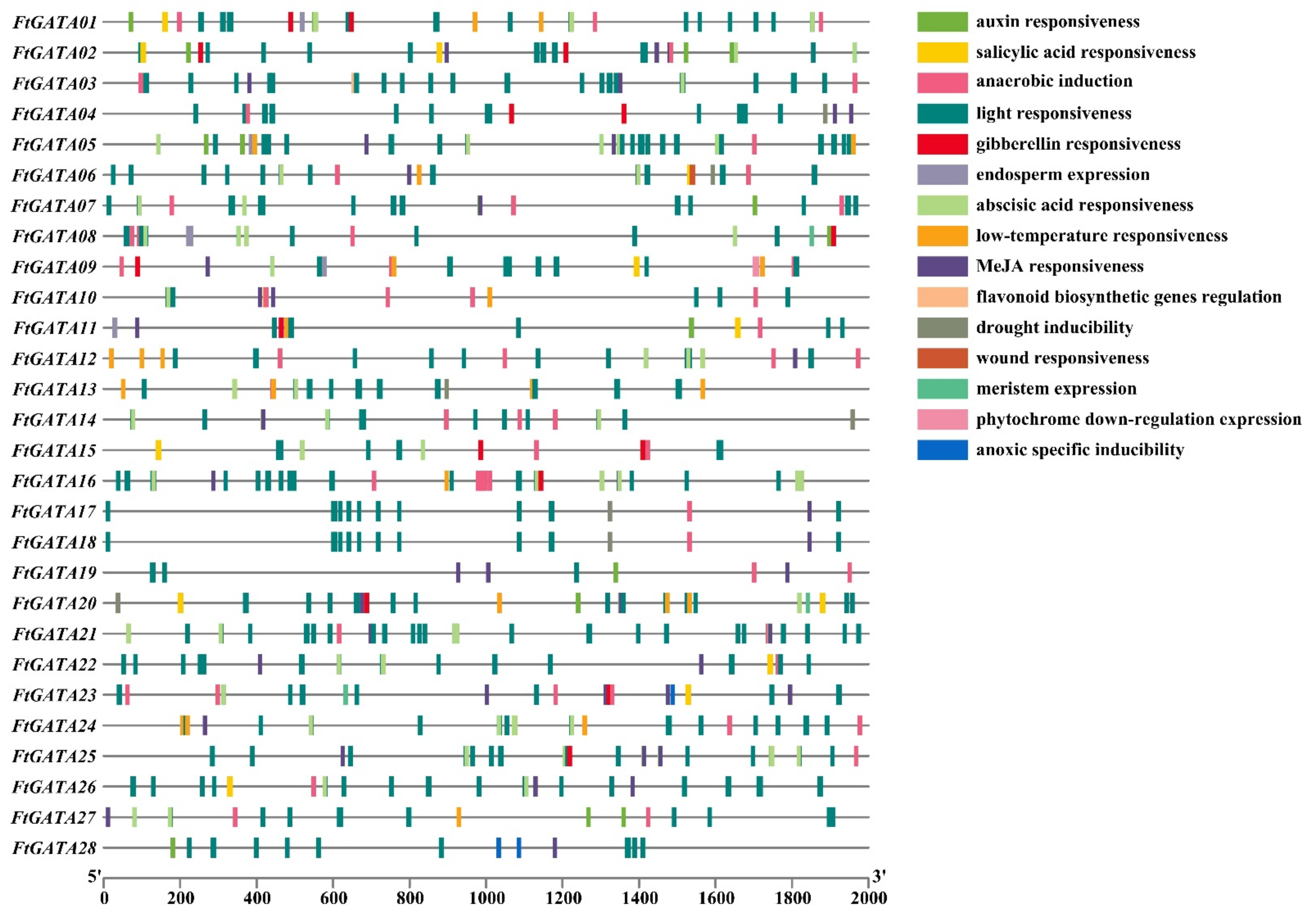 Ijms 23 12434 g003 Ijms 23 12434 g003