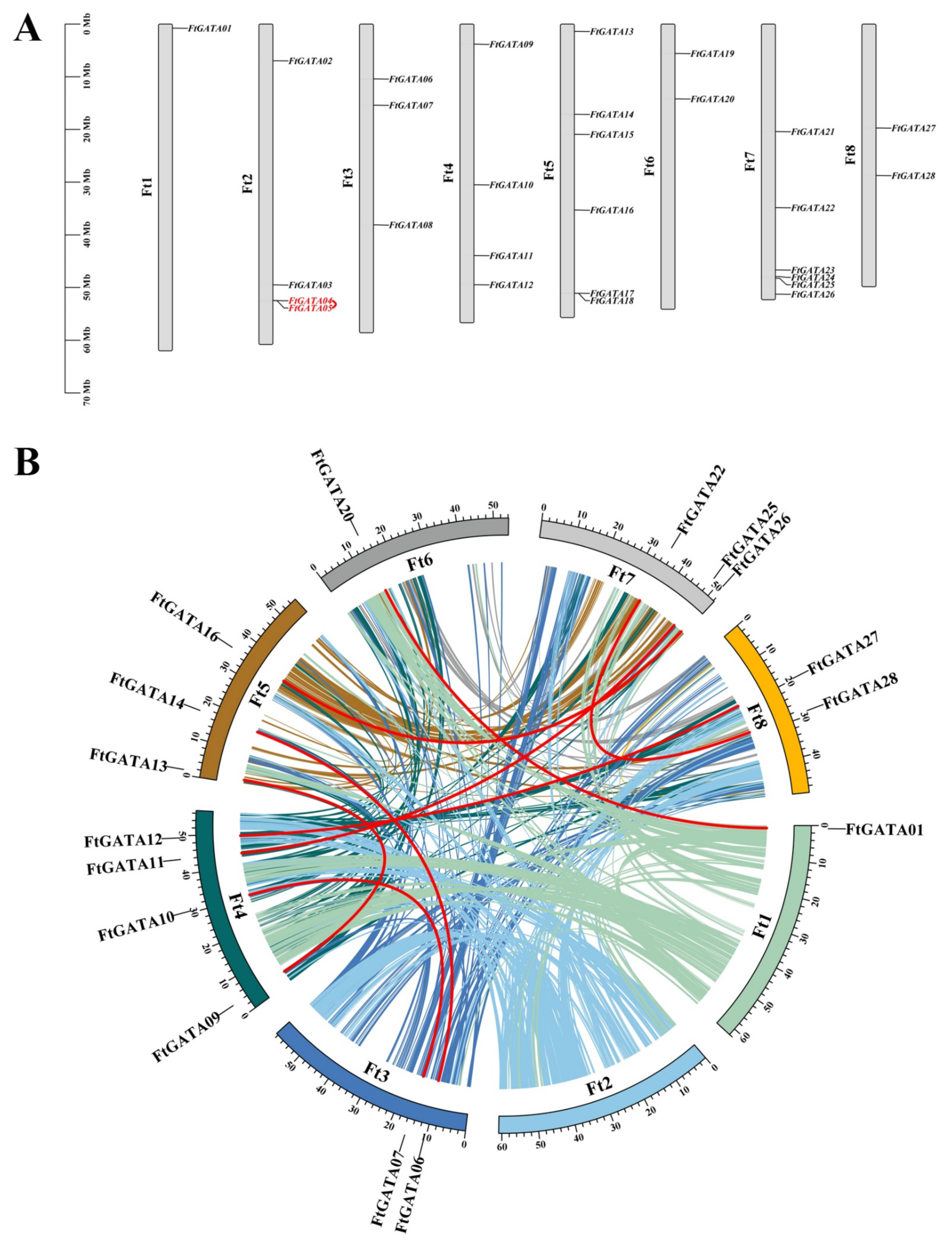 Ijms 23 12434 g004 Ijms 23 12434 g004