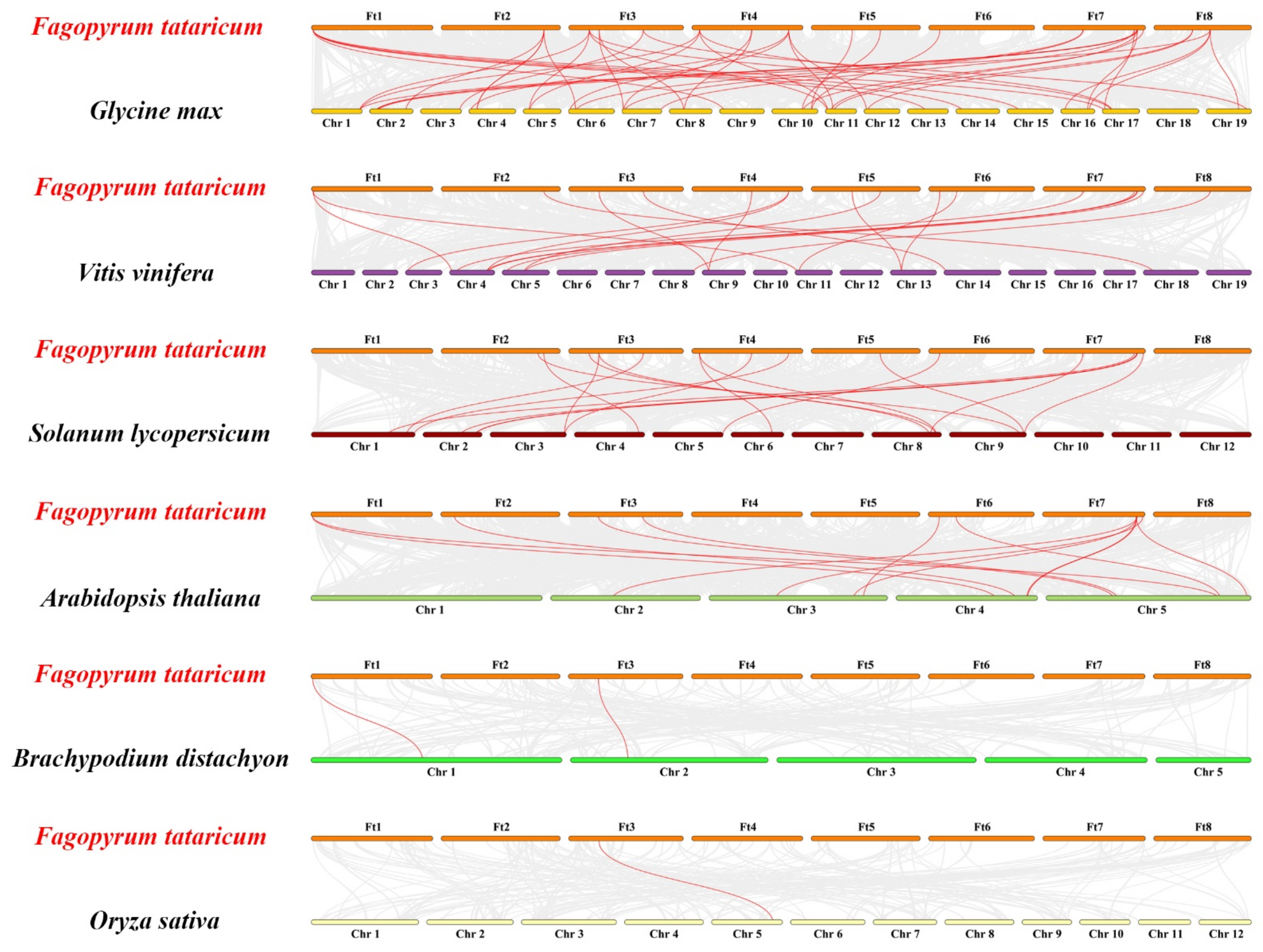 Ijms 23 12434 g005 Ijms 23 12434 g005