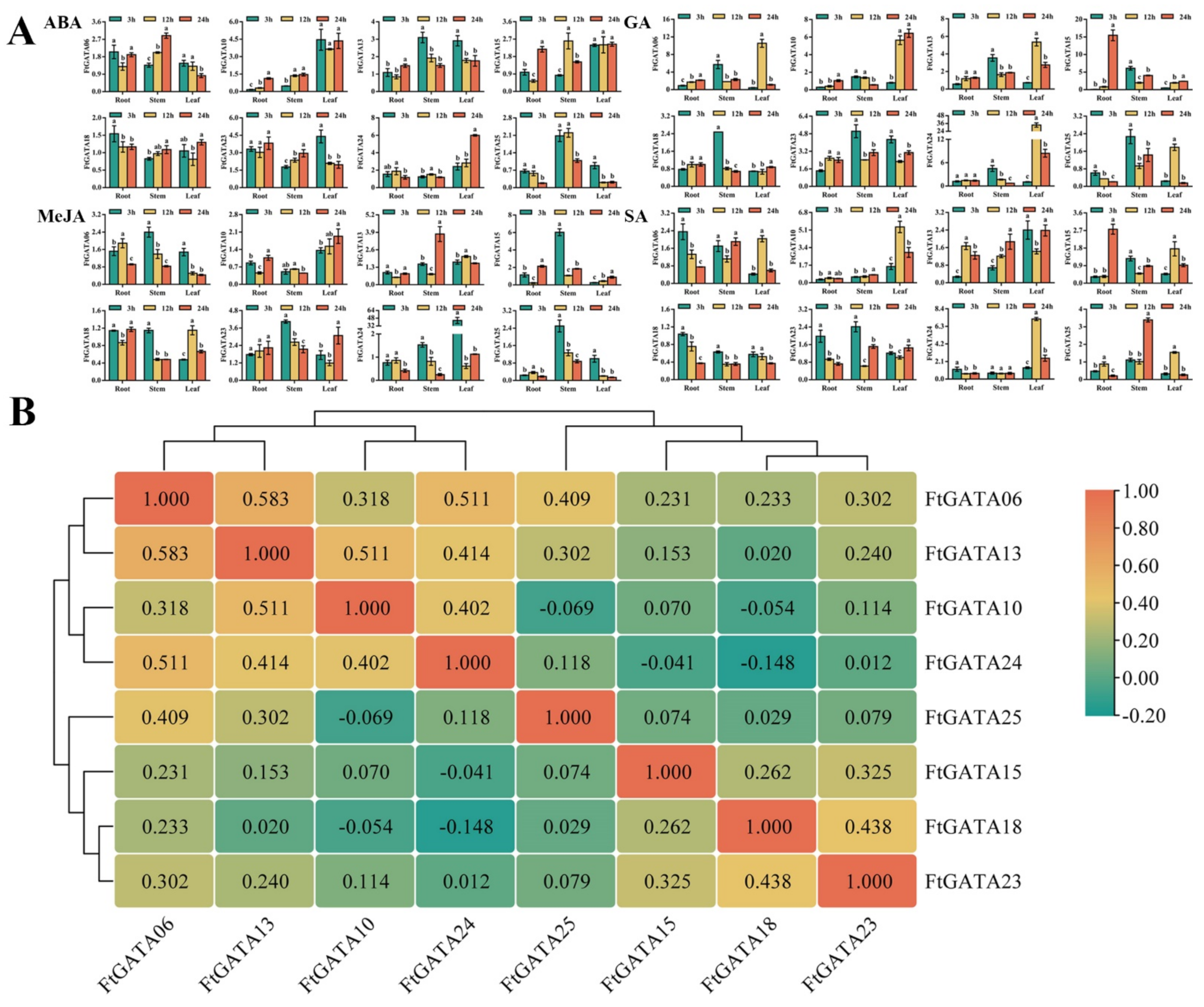 Ijms 23 12434 g009 Ijms 23 12434 g009