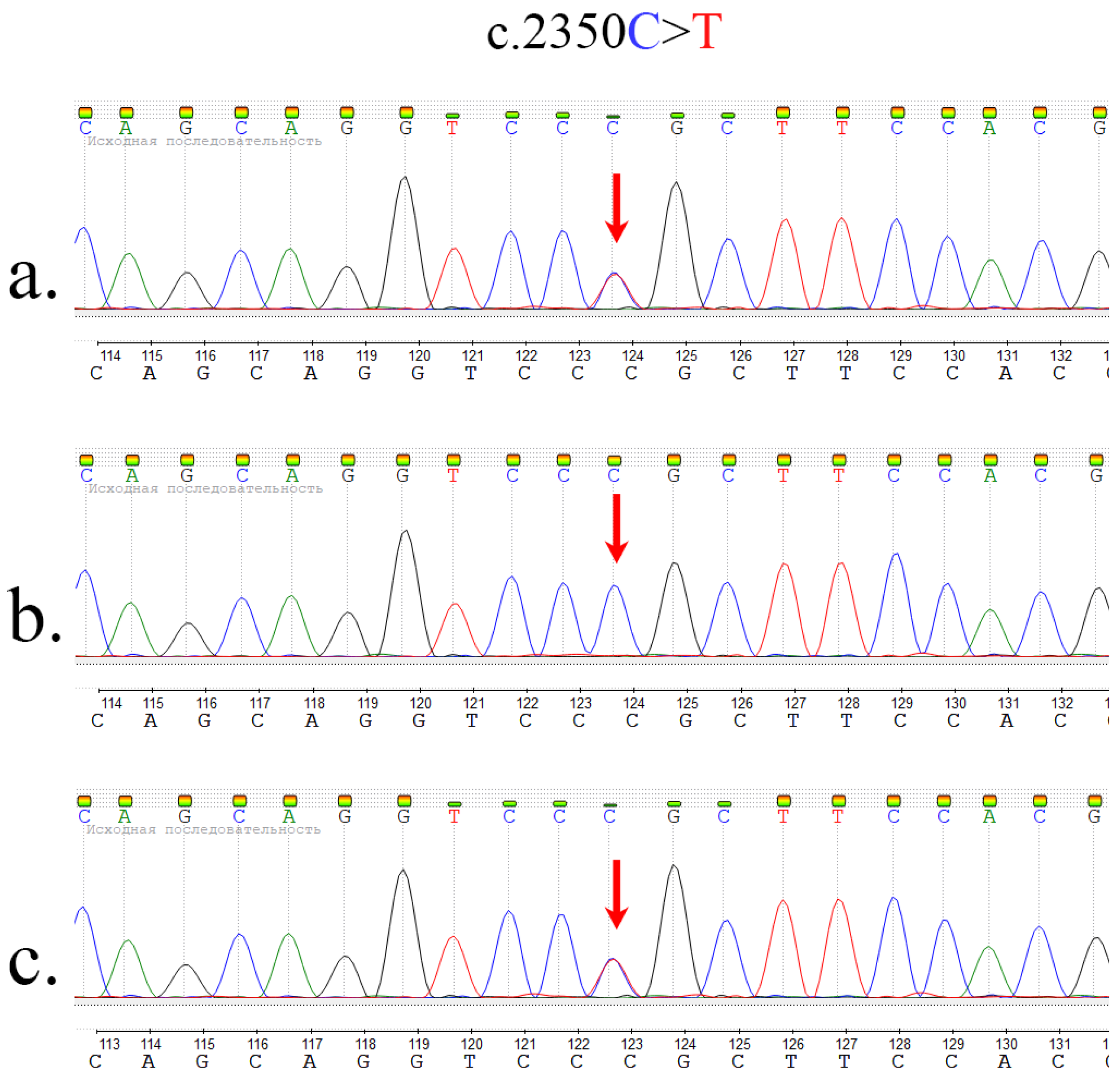 Ijms 23 12437 g002 Ijms 23 12437 g002