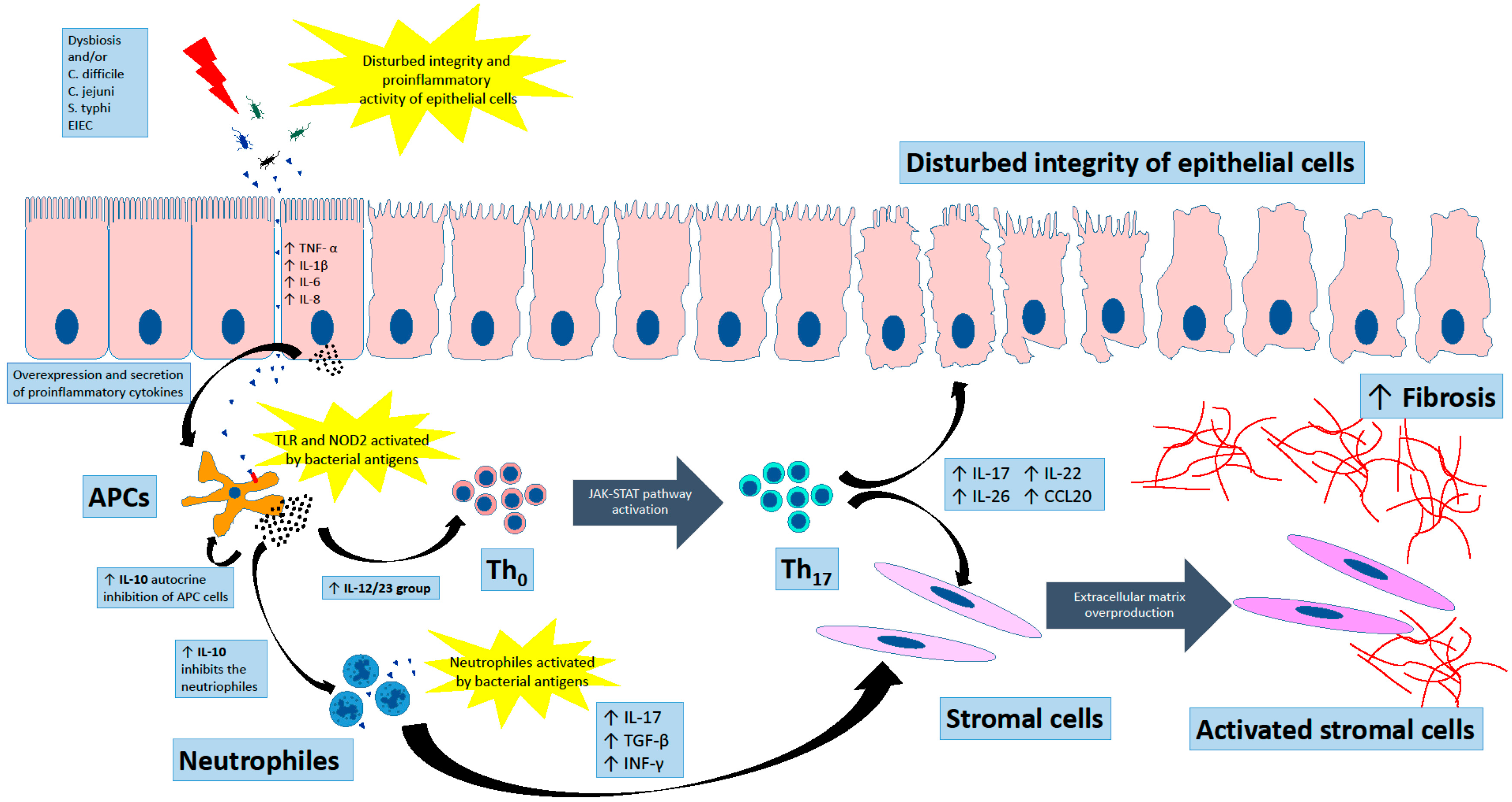 Ijms 23 12445 g001 Ijms 23 12445 g001