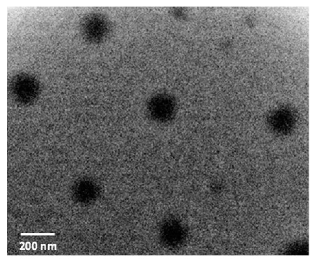 Ijms 23 12446 g003 Ijms 23 12446 g003