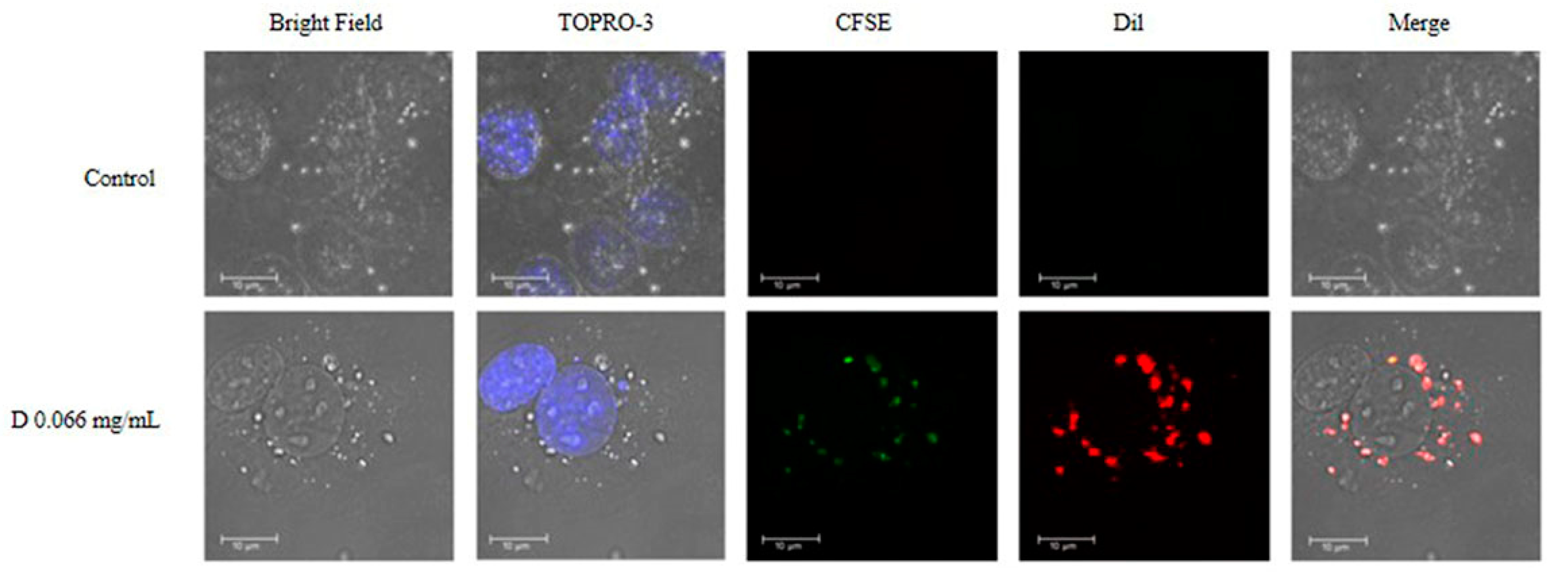 Ijms 23 12446 g008 Ijms 23 12446 g008