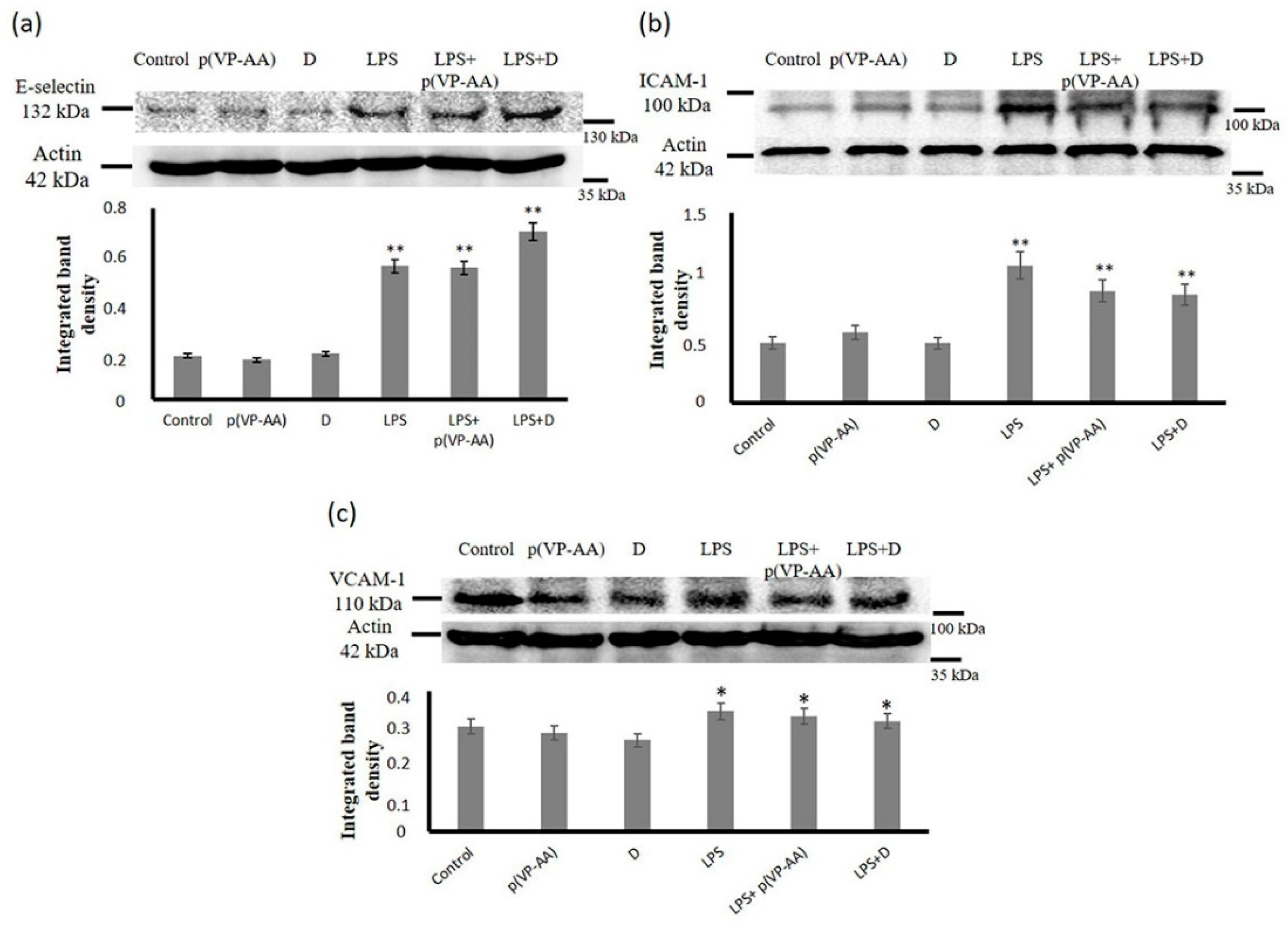 Ijms 23 12446 g009 Ijms 23 12446 g009