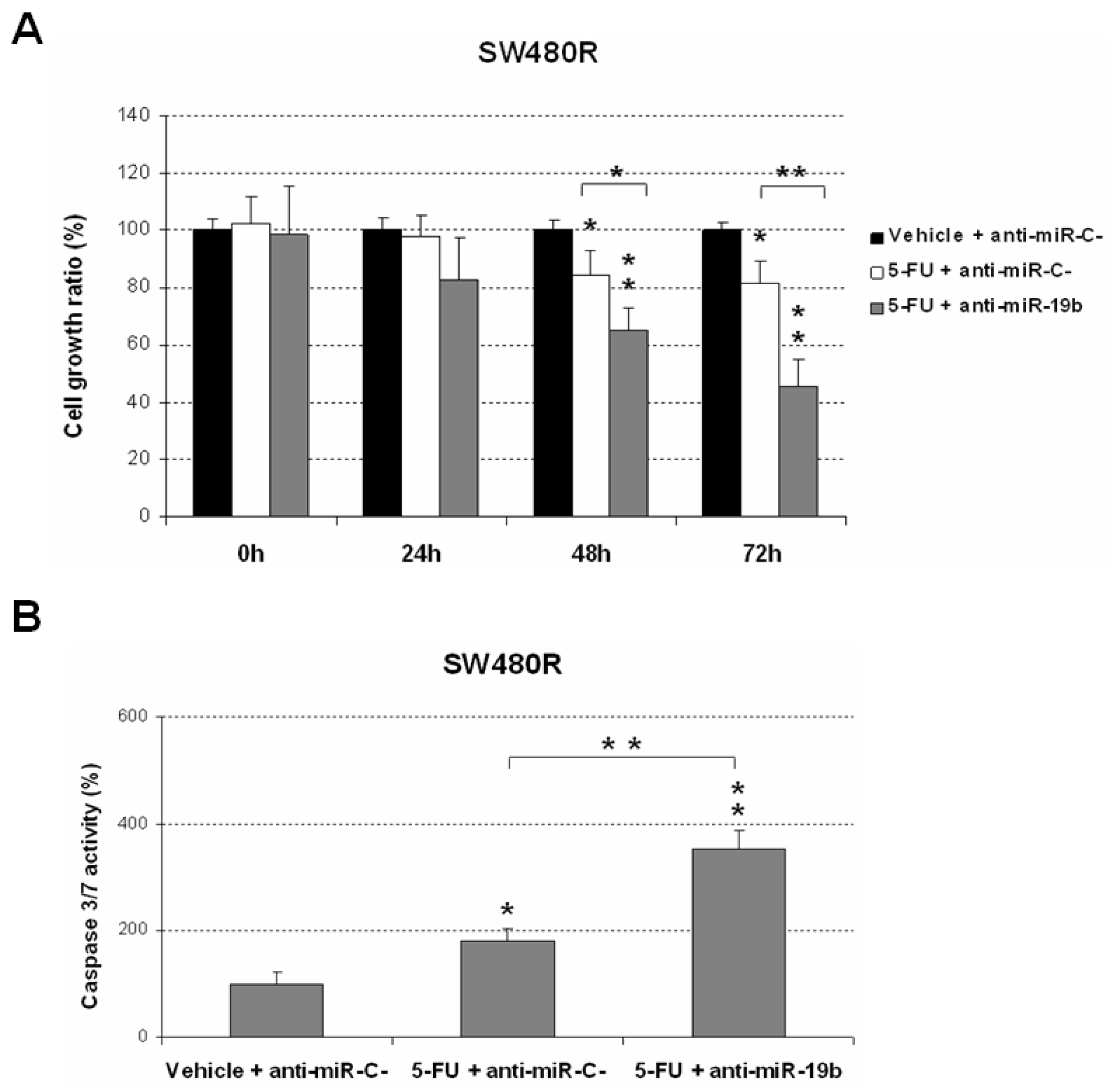 Ijms 23 12447 g002 Ijms 23 12447 g002