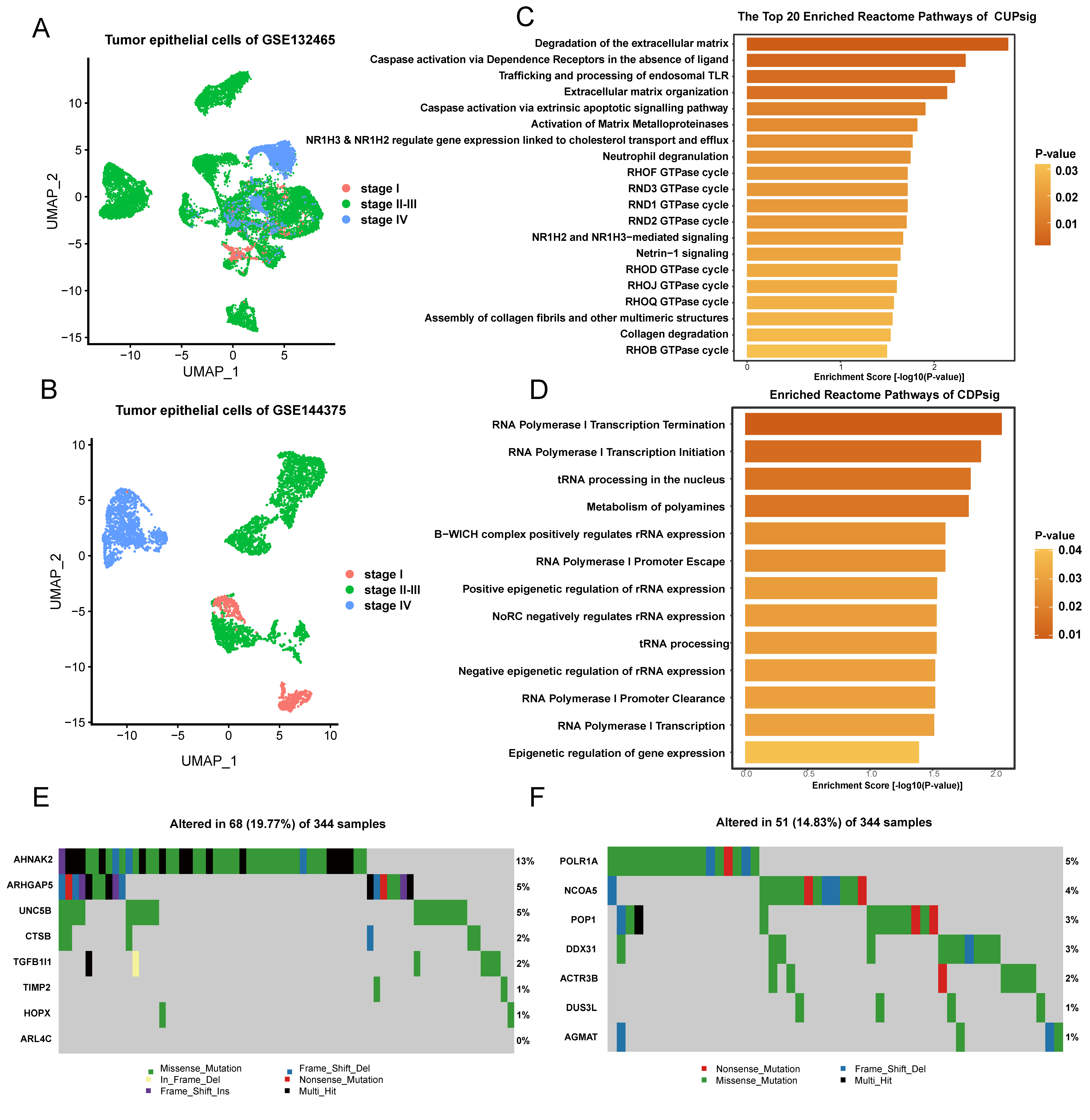 Ijms 23 12460 g002 Ijms 23 12460 g002