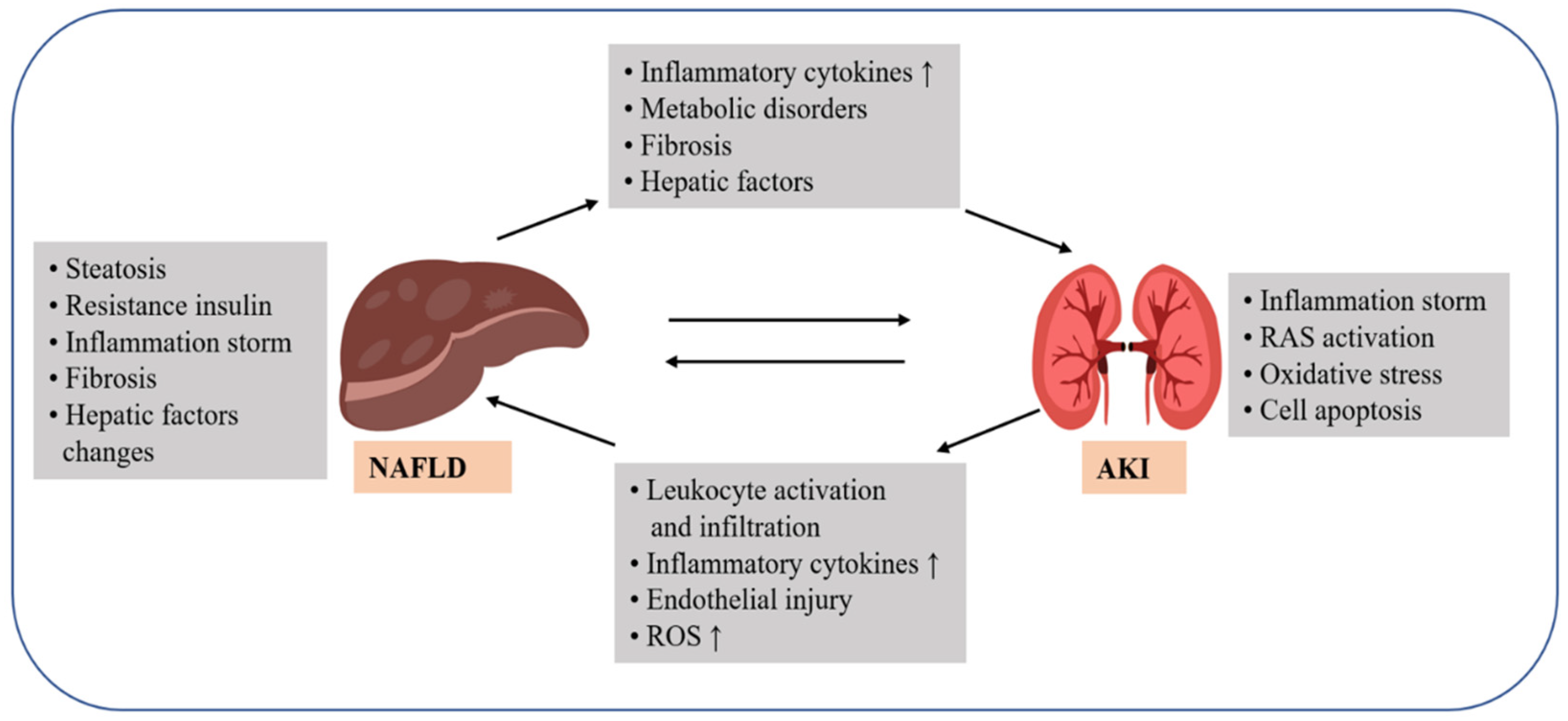 IJMS Free FullText Critical Overview of Hepatic Factors That Link
