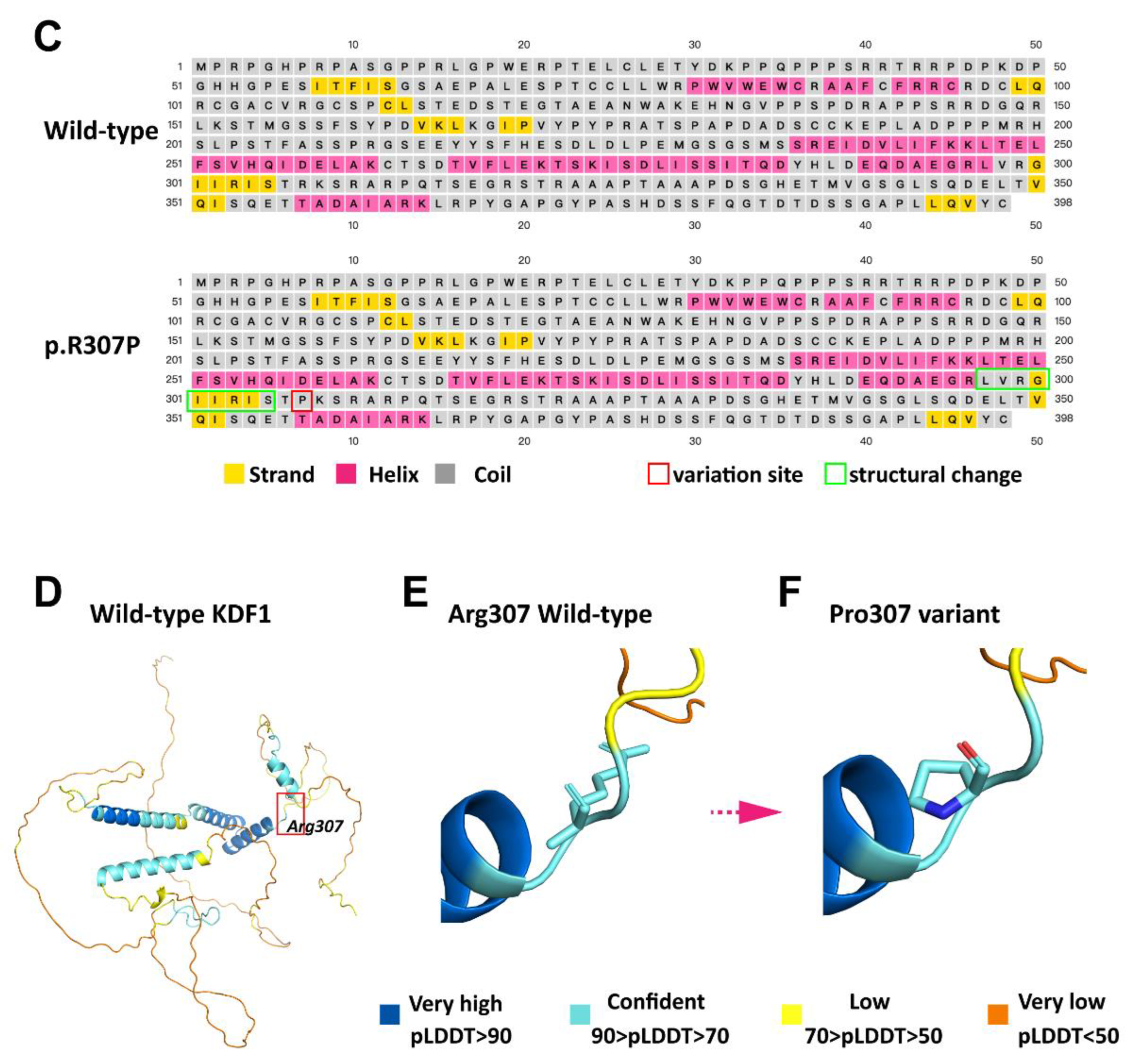 Ijms 23 12465 g002b Ijms 23 12465 g002b