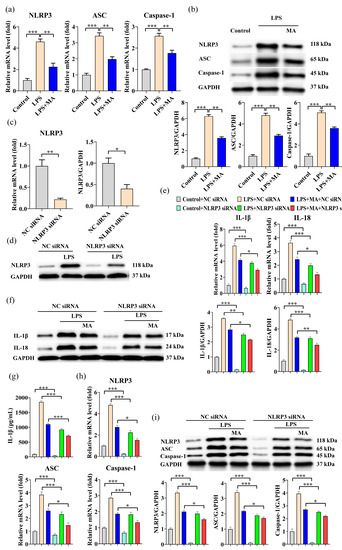 IJMS Special Issue New Insights into Inflammasomes