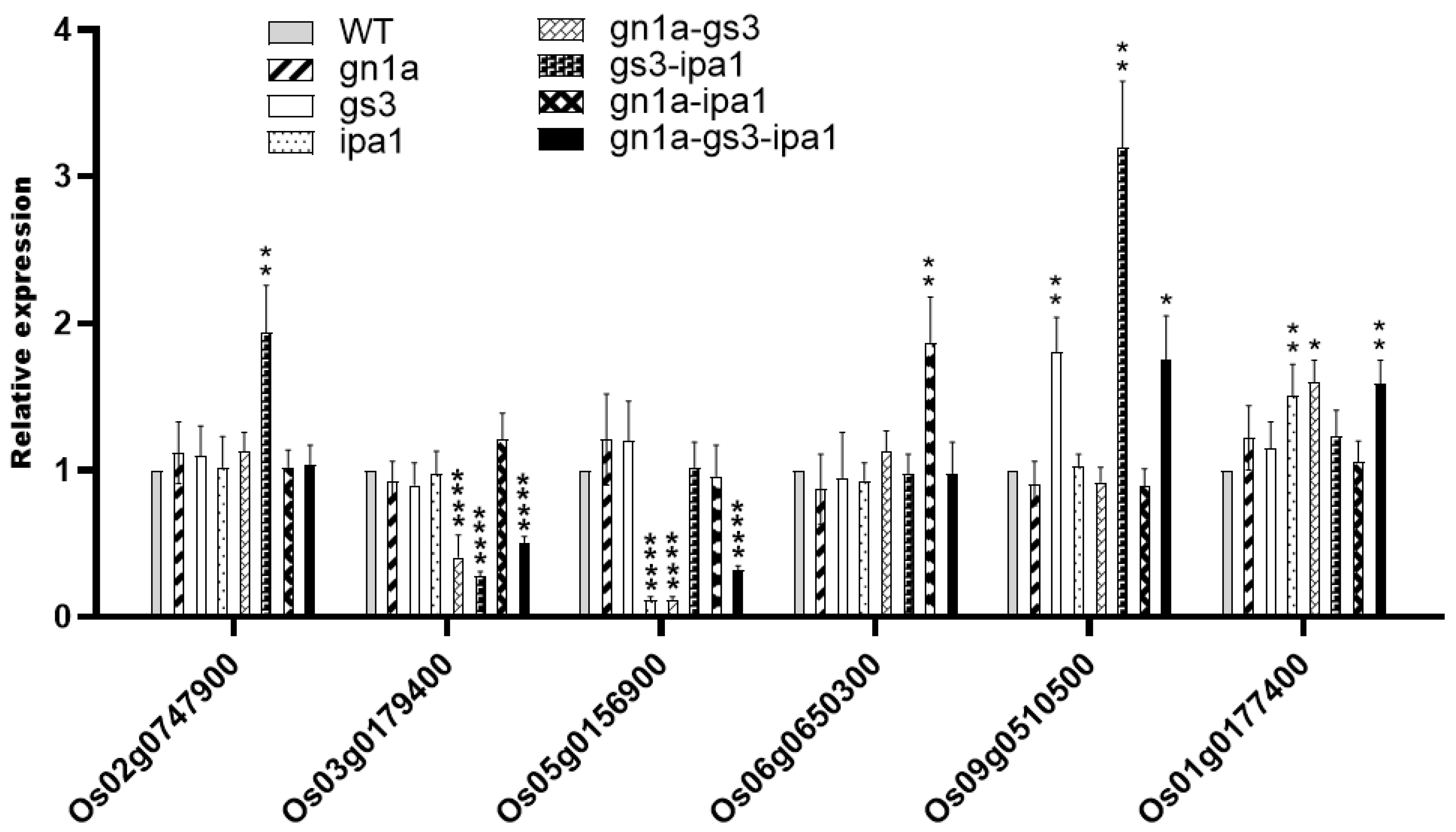 Ijms 23 12478 g005 Ijms 23 12478 g005