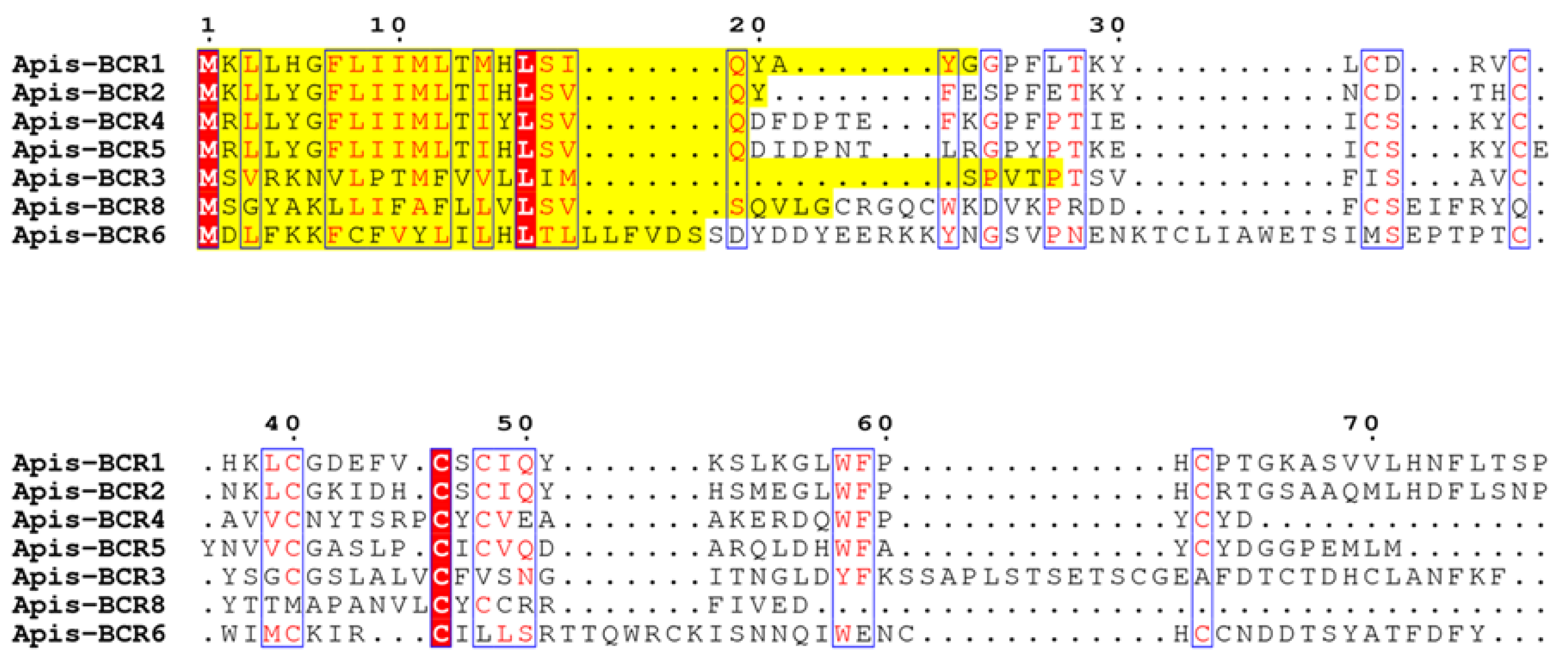 Ijms 23 12480 g001 Ijms 23 12480 g001